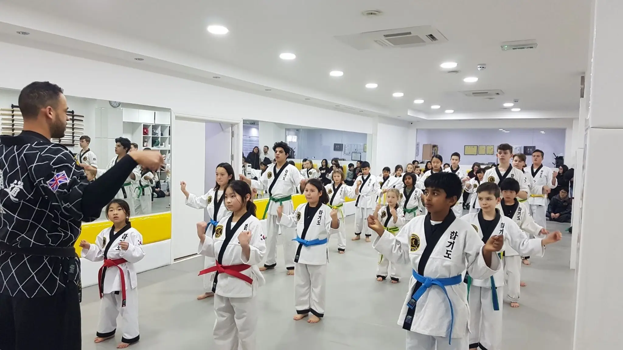 SKMA Hapkido (School of Korean Martial Arts)