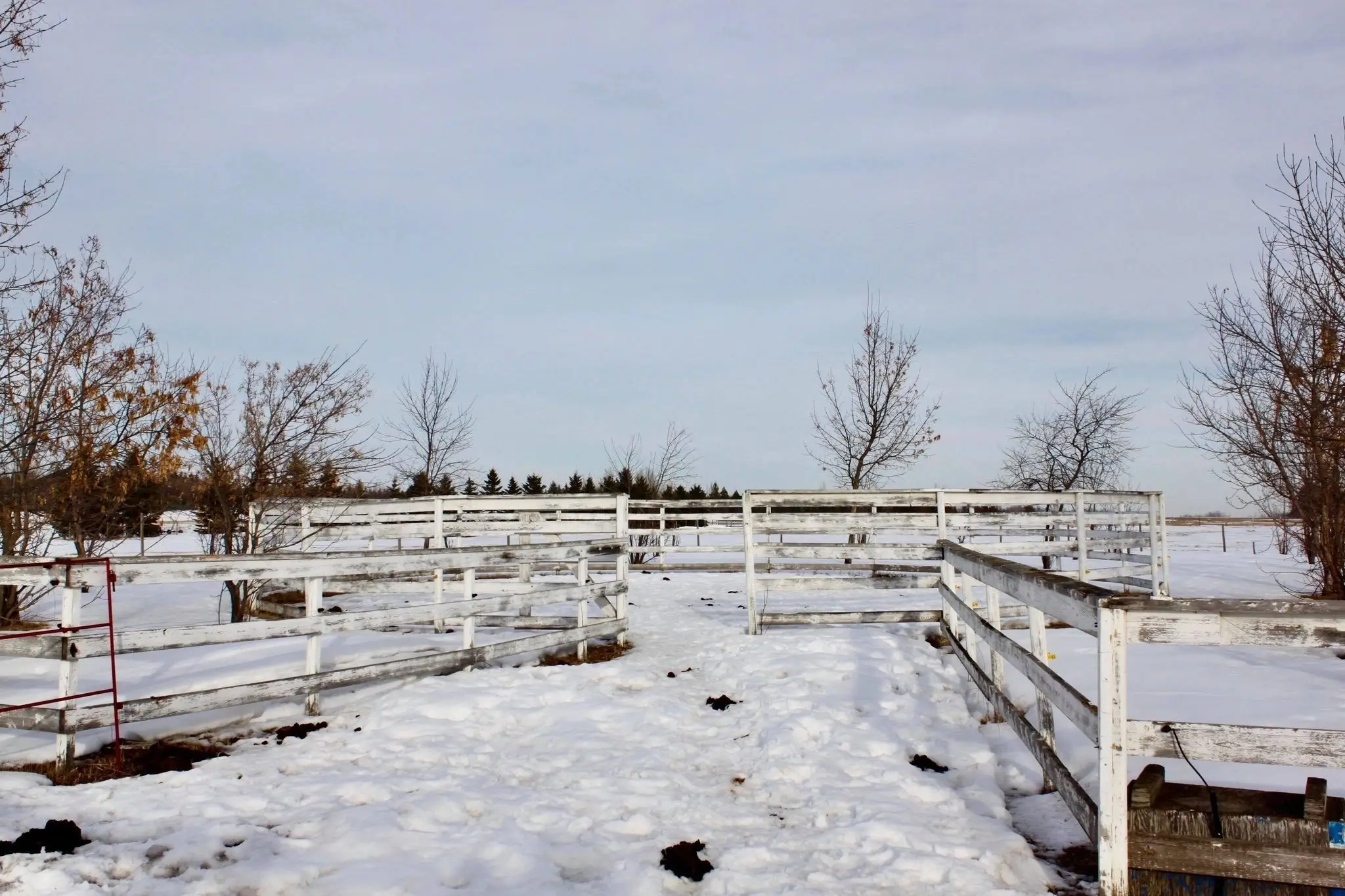 Paradise Acres Ranch