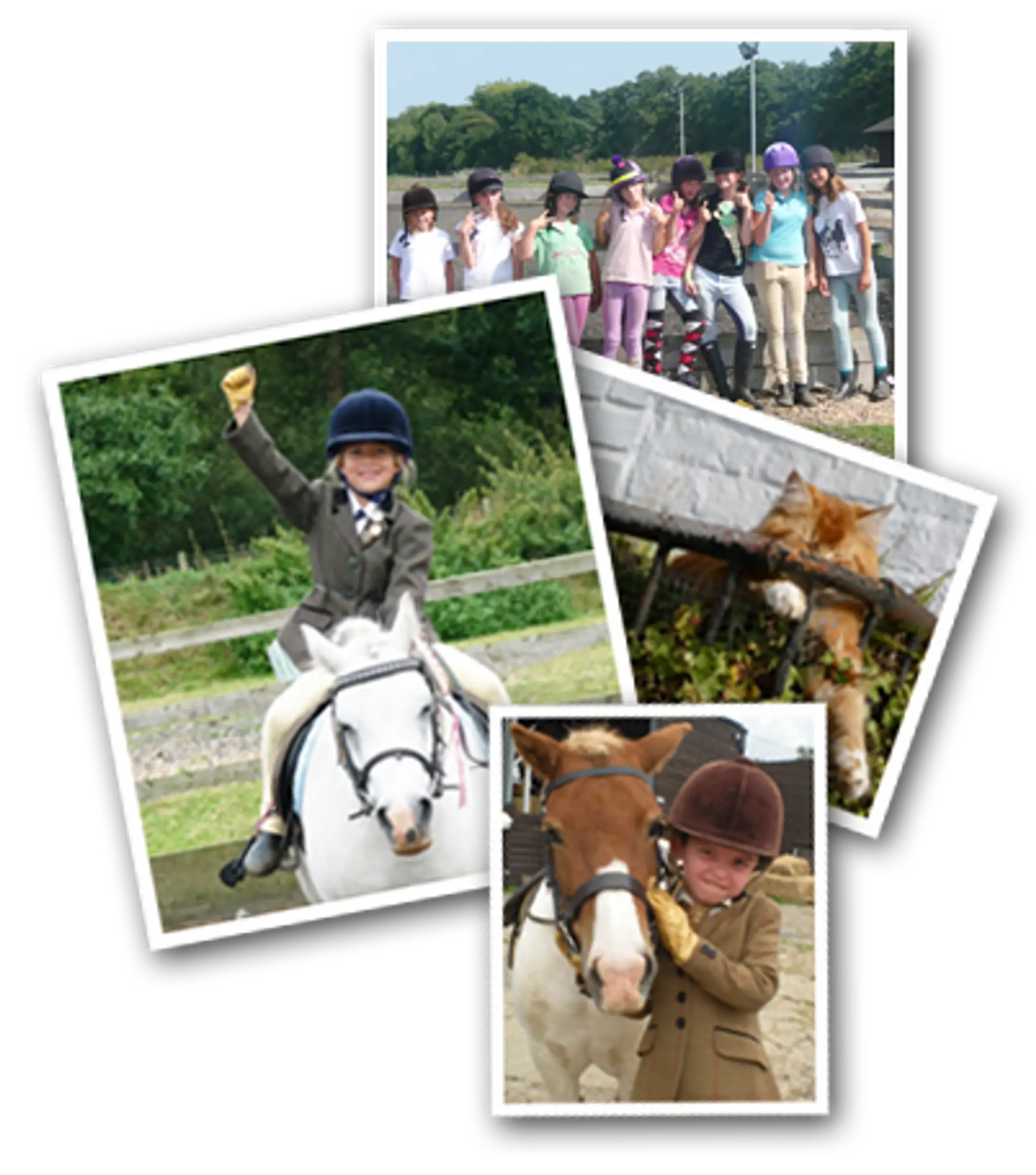 Weybridge Equestrian Centre