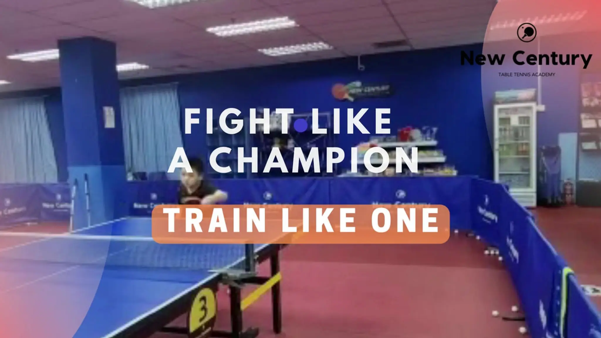New Century Table Tennis Academy