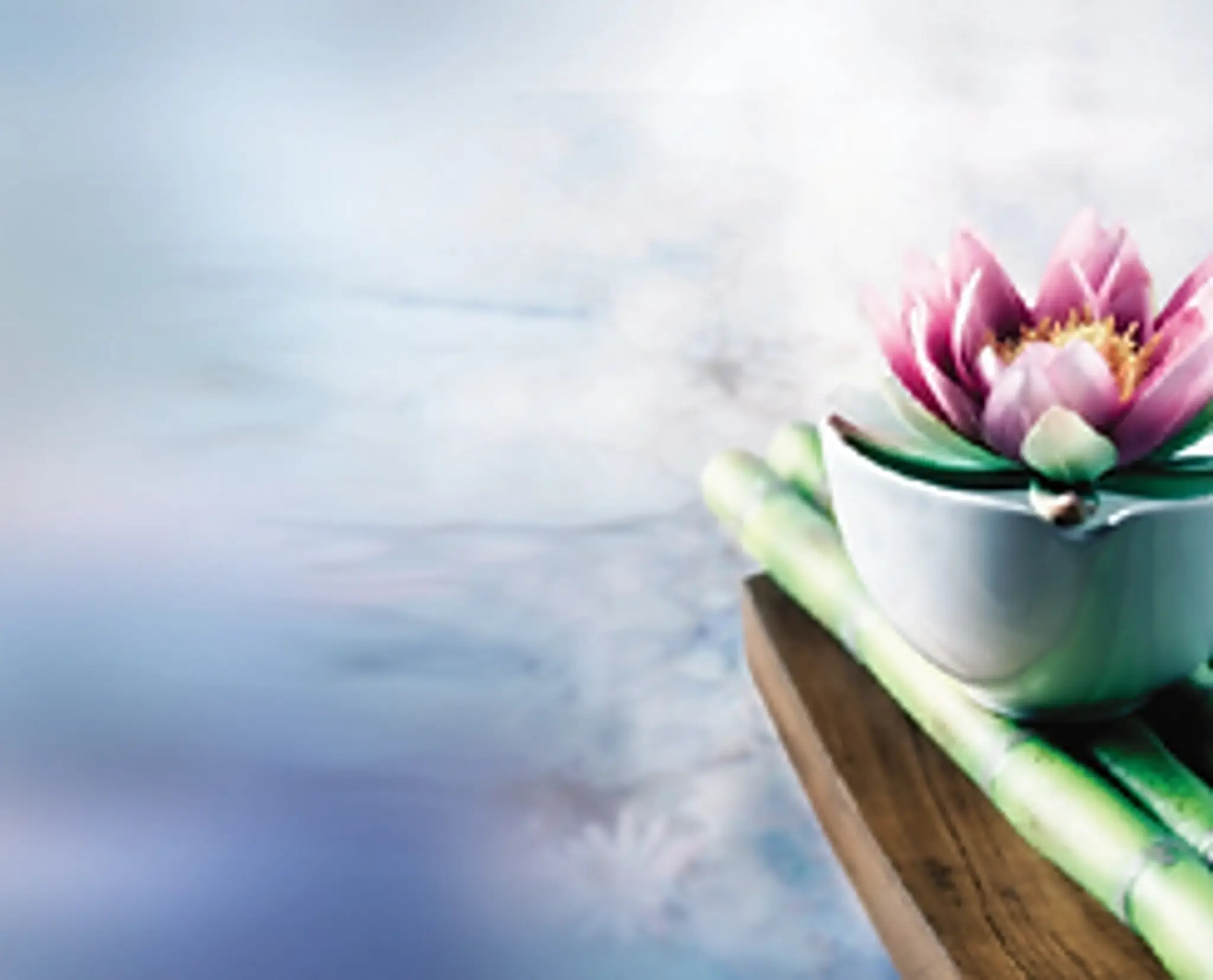 Jenny's Yoga and Pilates