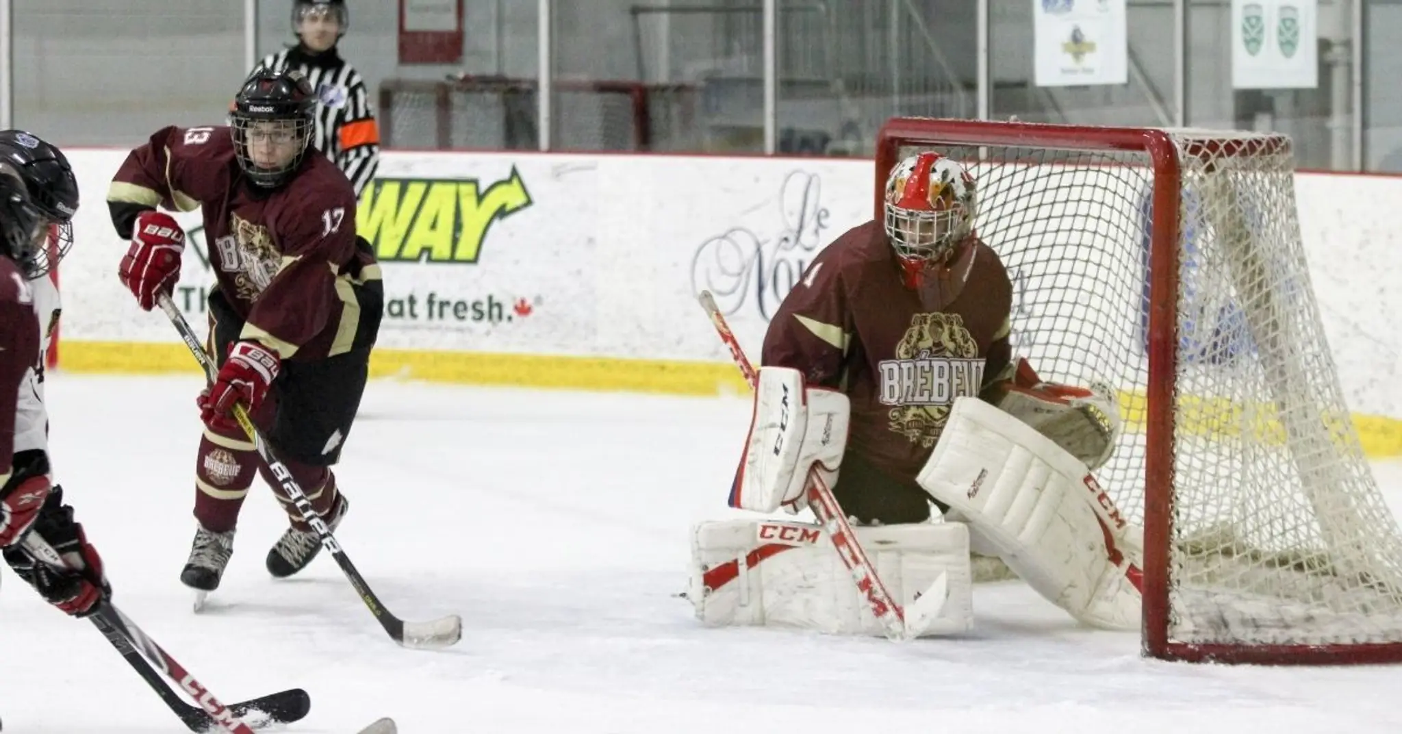 Arena Lassonde-OASIS