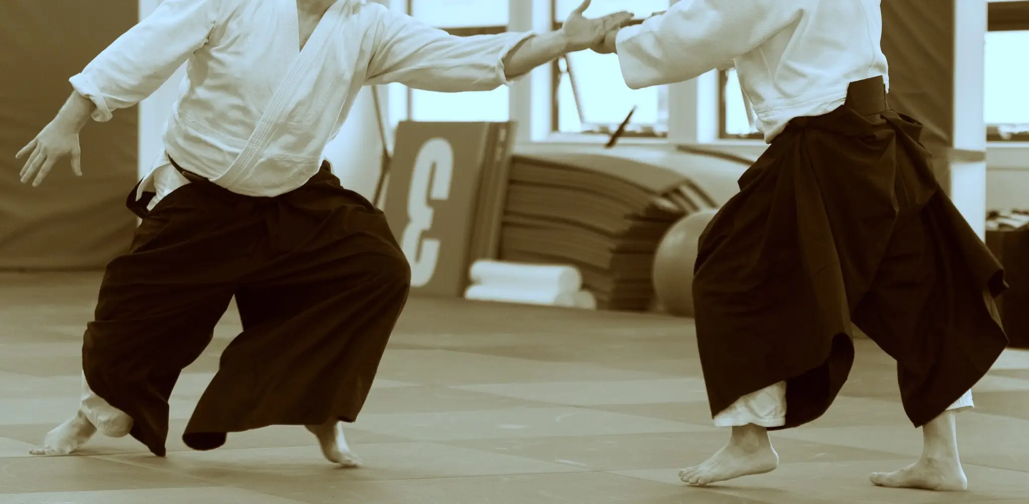 Azami-kai Aikido