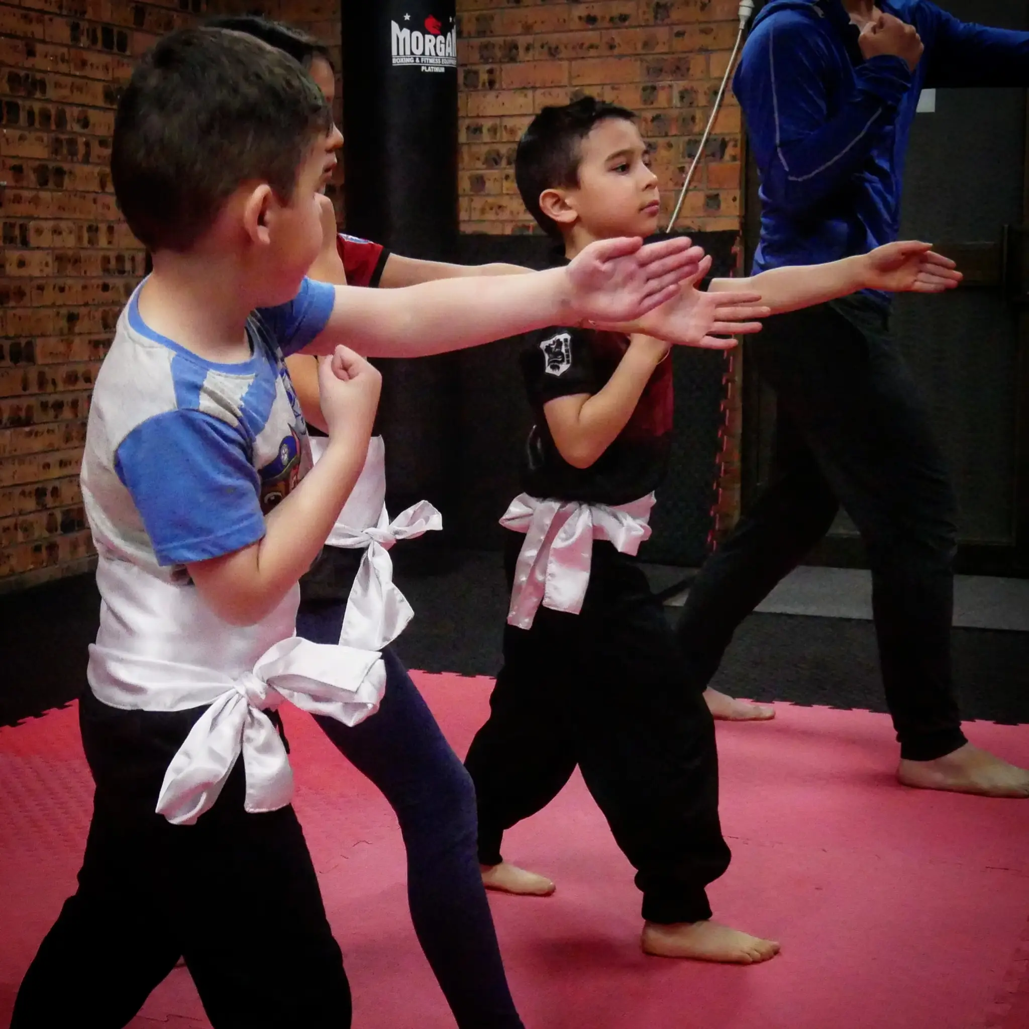 Dragon Style Martial Arts