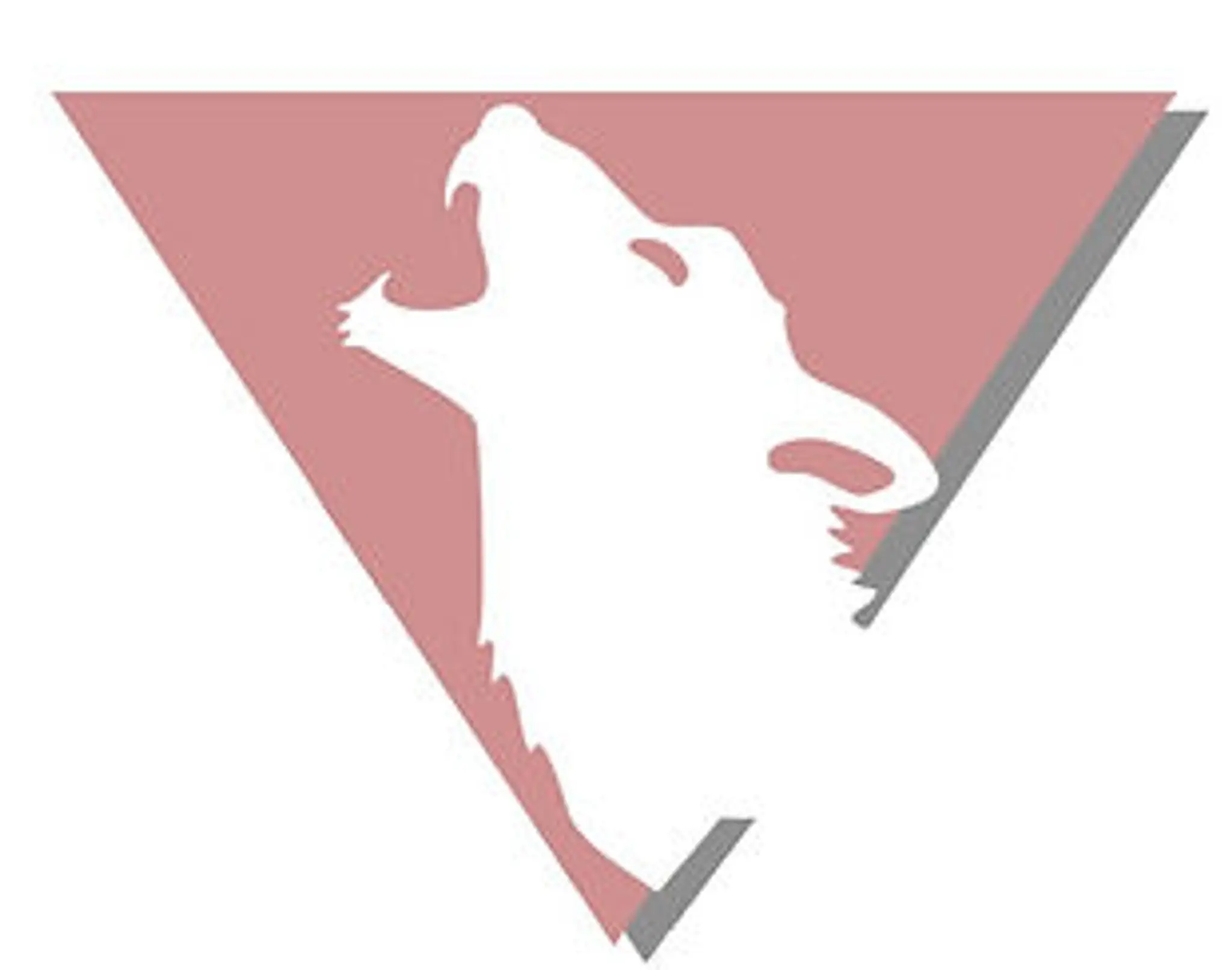 Alpha Mixed Martial Arts