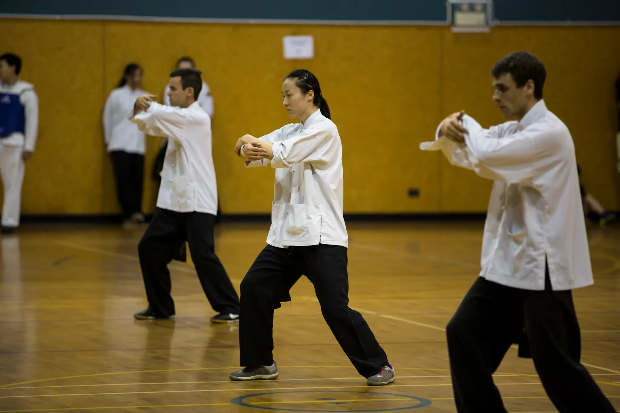 Chans Martial Arts Wellington