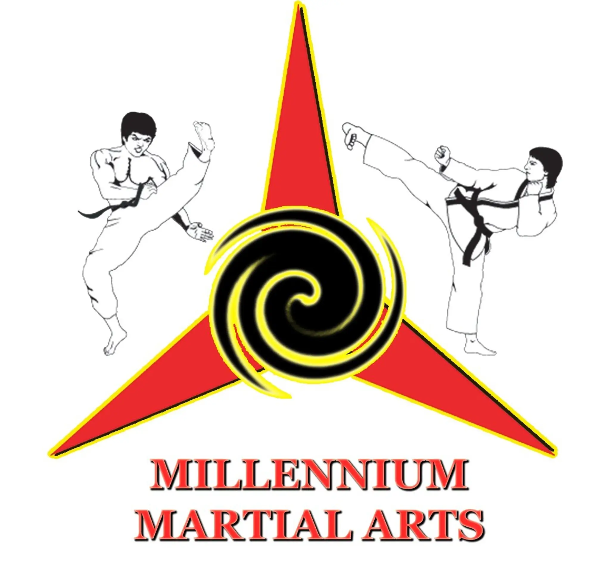 Millennium Martial Arts