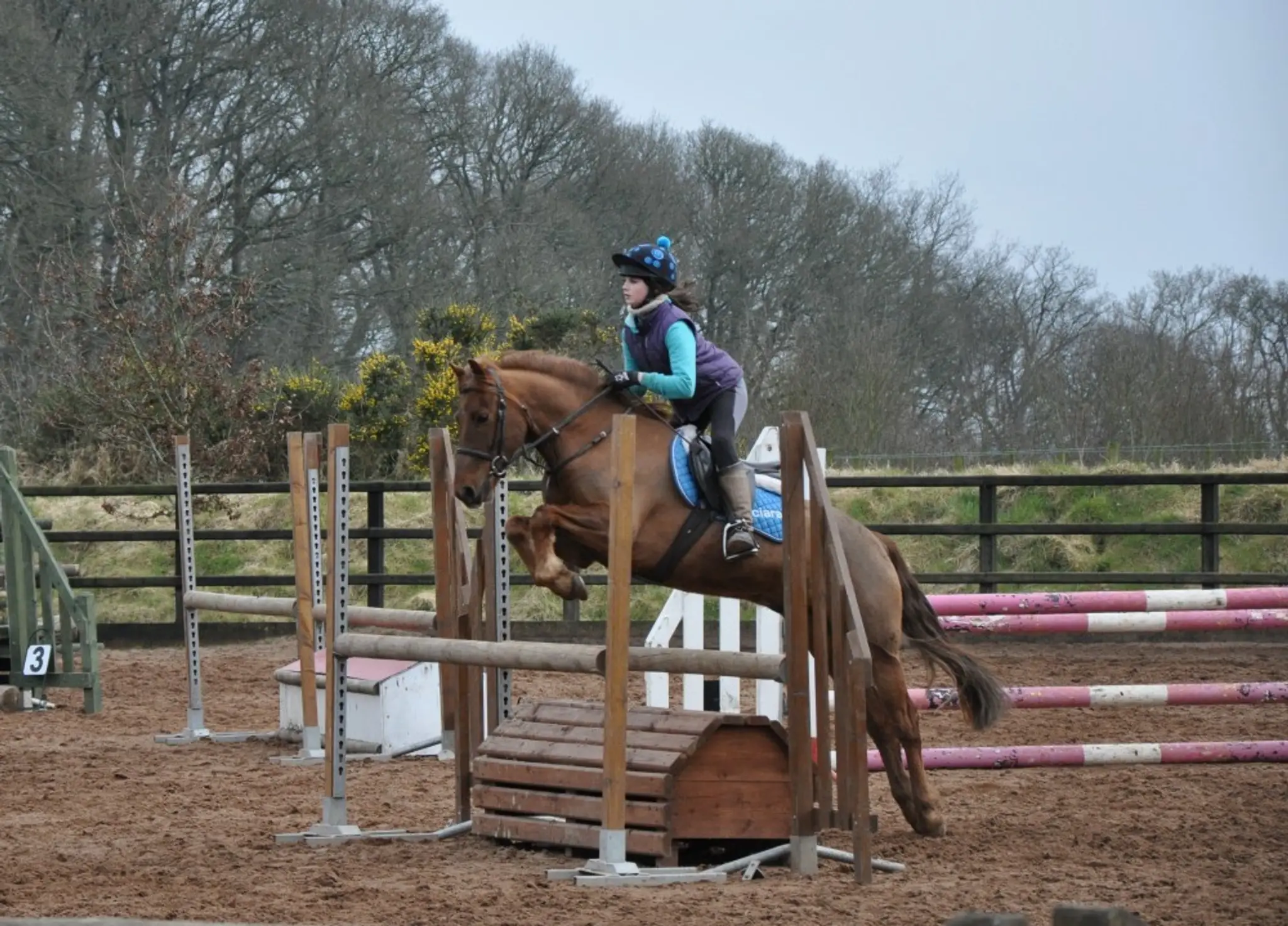 Moy Riding School