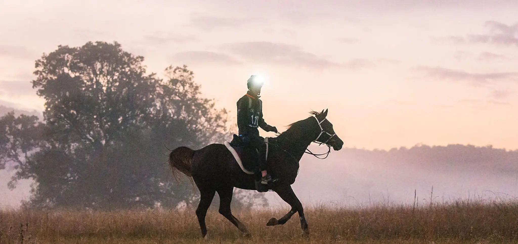 Nicker and Whinny Endurance Riding