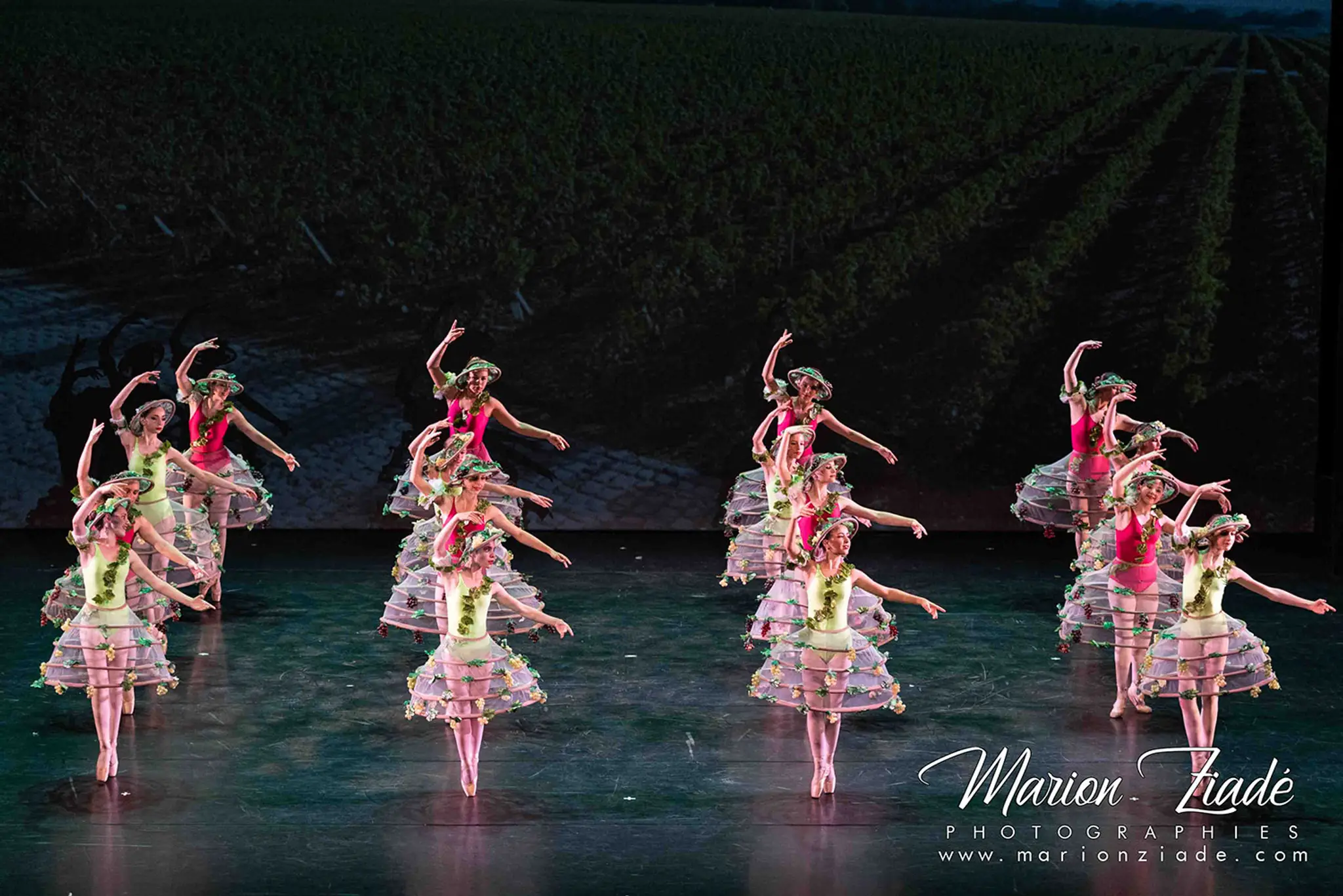 Dance Academy La Sylvaine