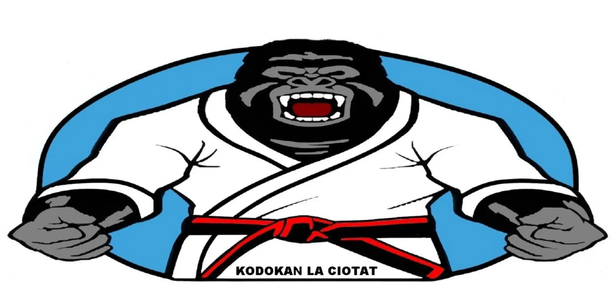 Judo Kodokan La Ciotat