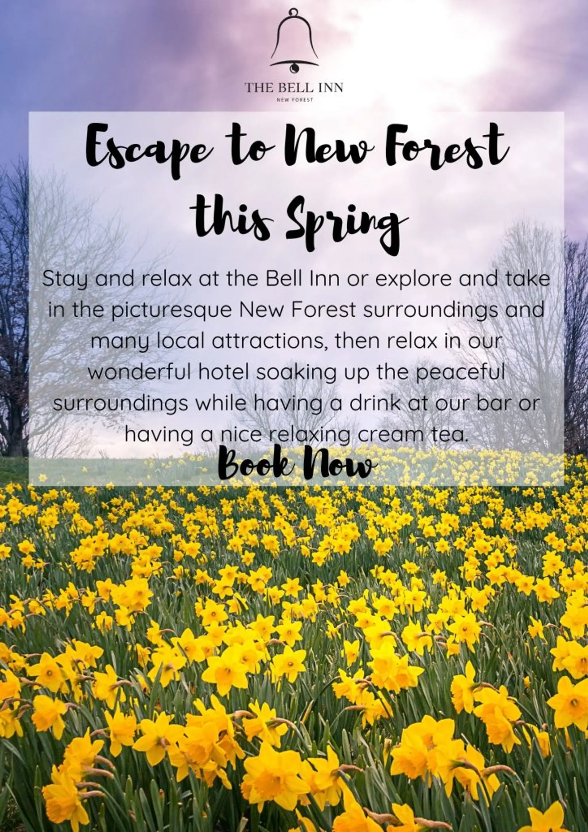 The Bell Inn, New Forest