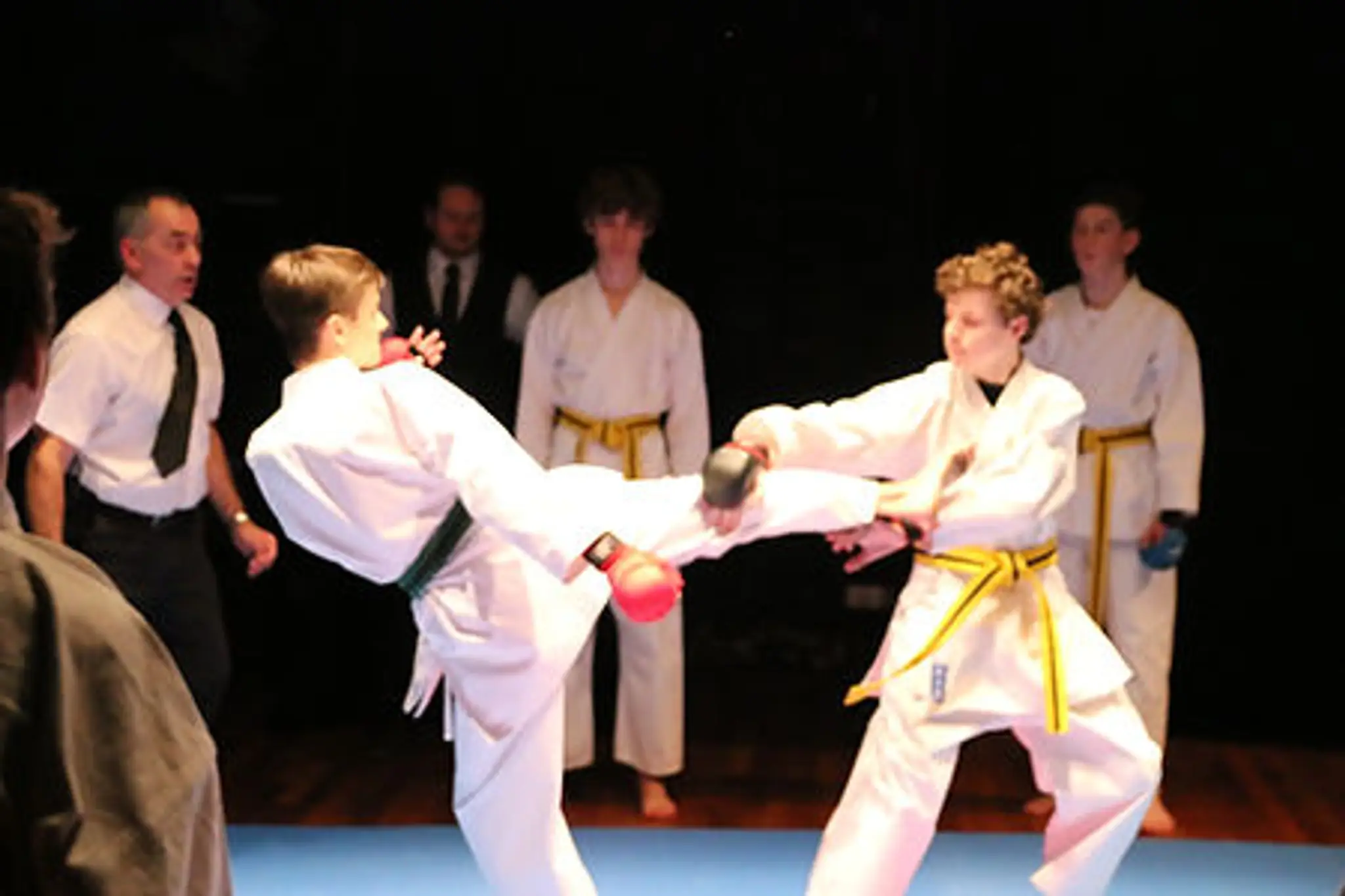 Seiken Ryu Karate Association