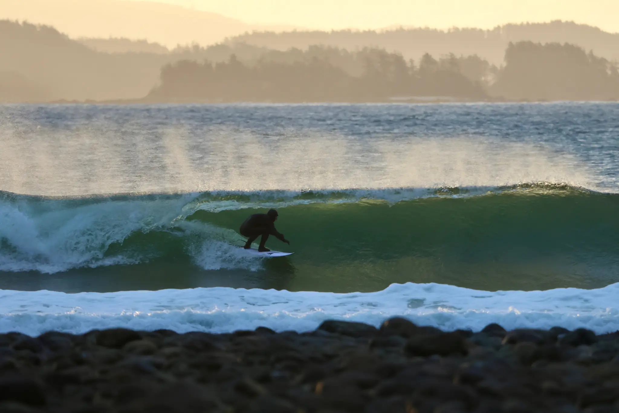 Relic Surf Shop and Surf School