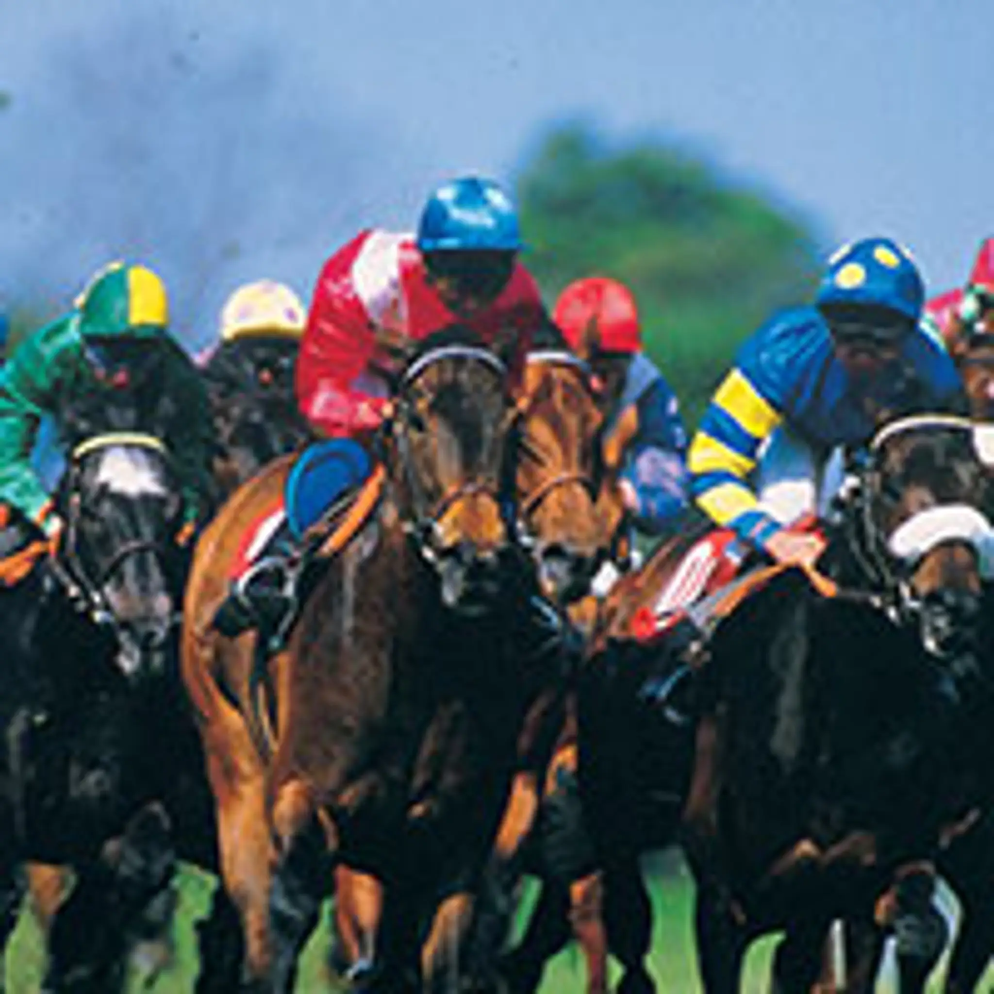 Longshot Winners Pty Ltd