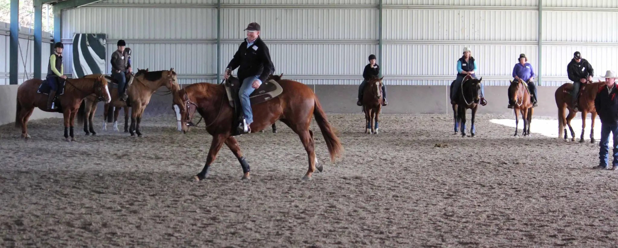 Roseneath Performance Horses