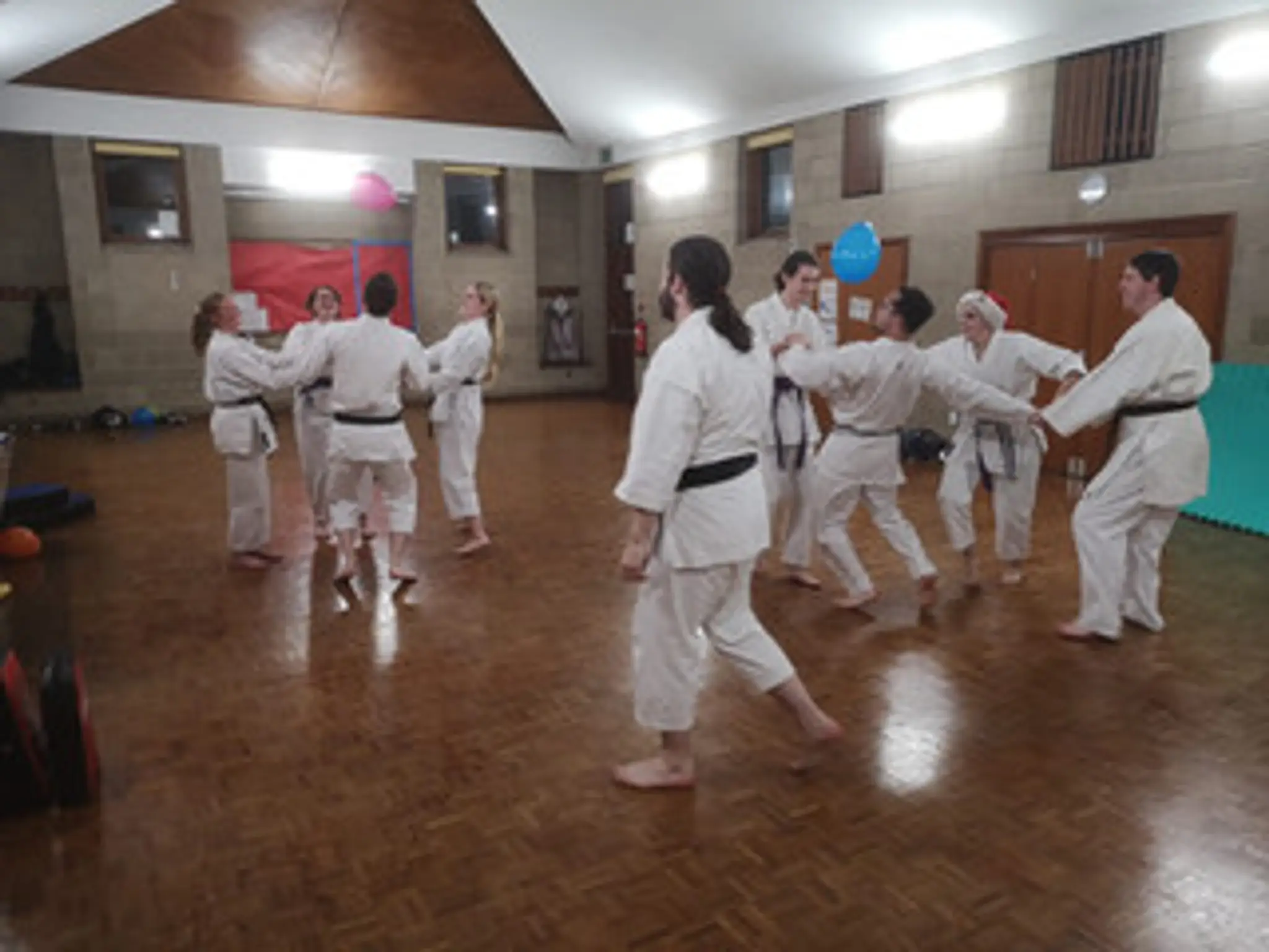 Satori-do karate club