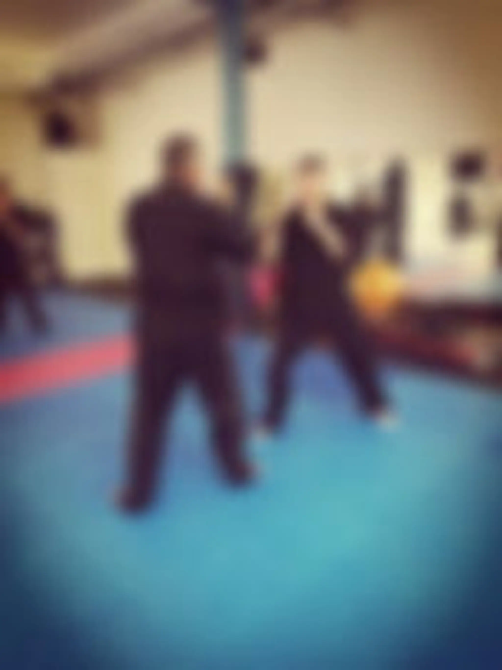 Raven Defensive Arts