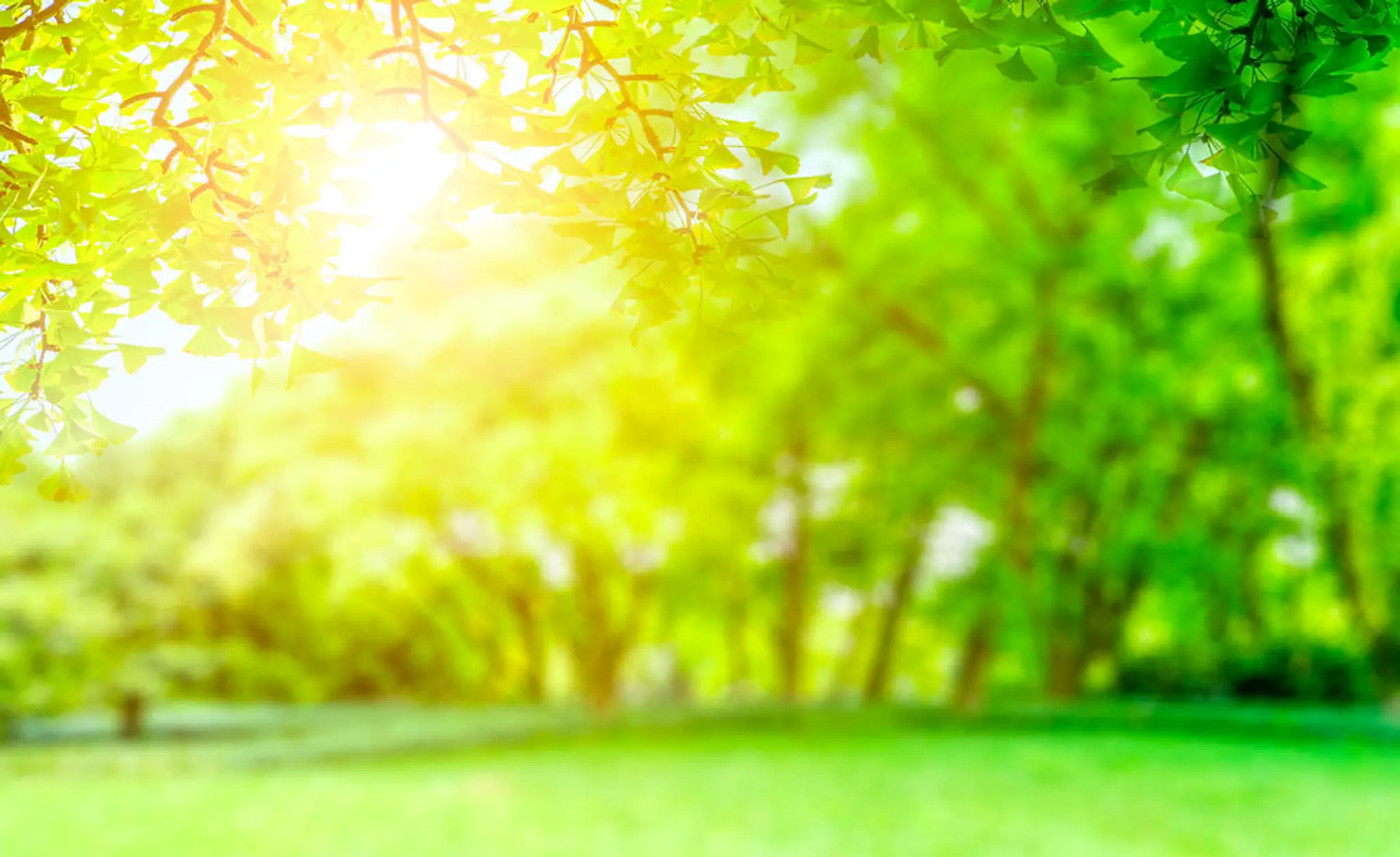 Body & Brain Yoga and TaiChi