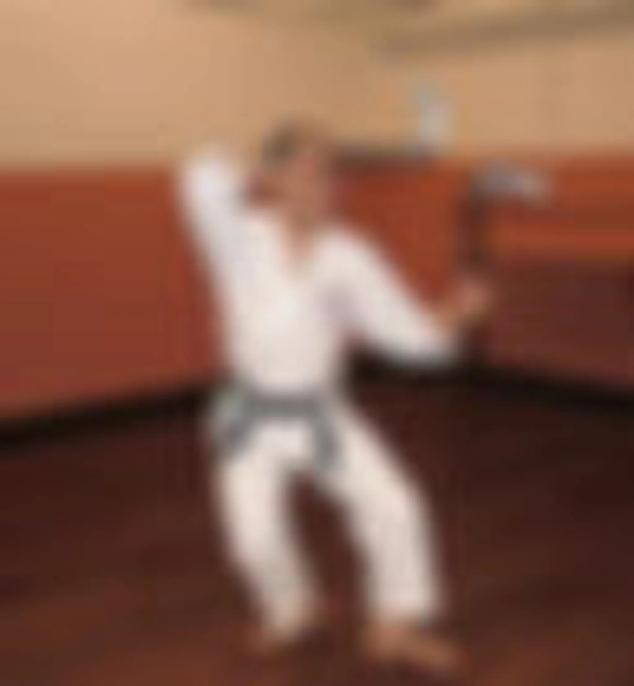 Black Tiger Martial Arts Timperley Dojo