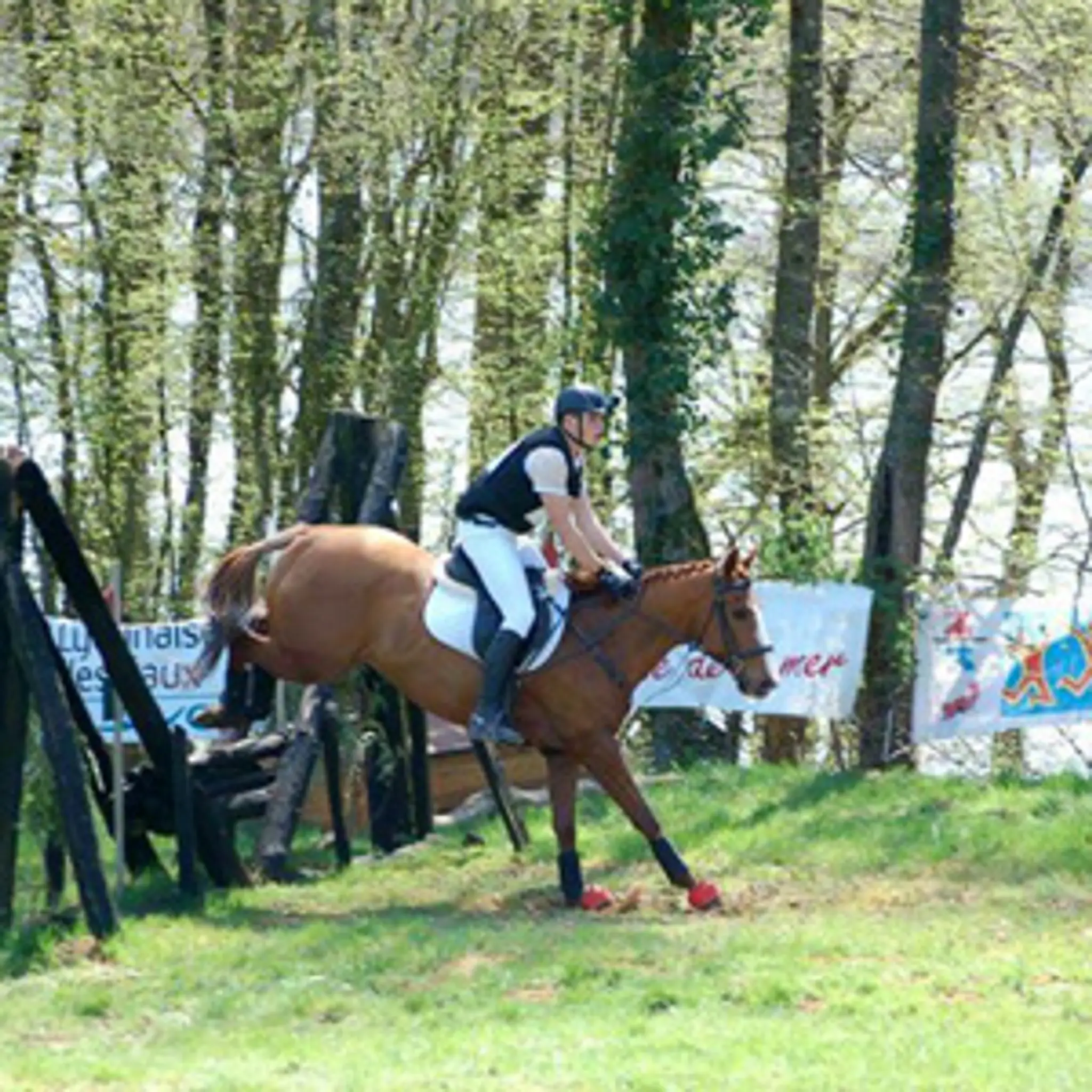 Ecurie Du Chatel