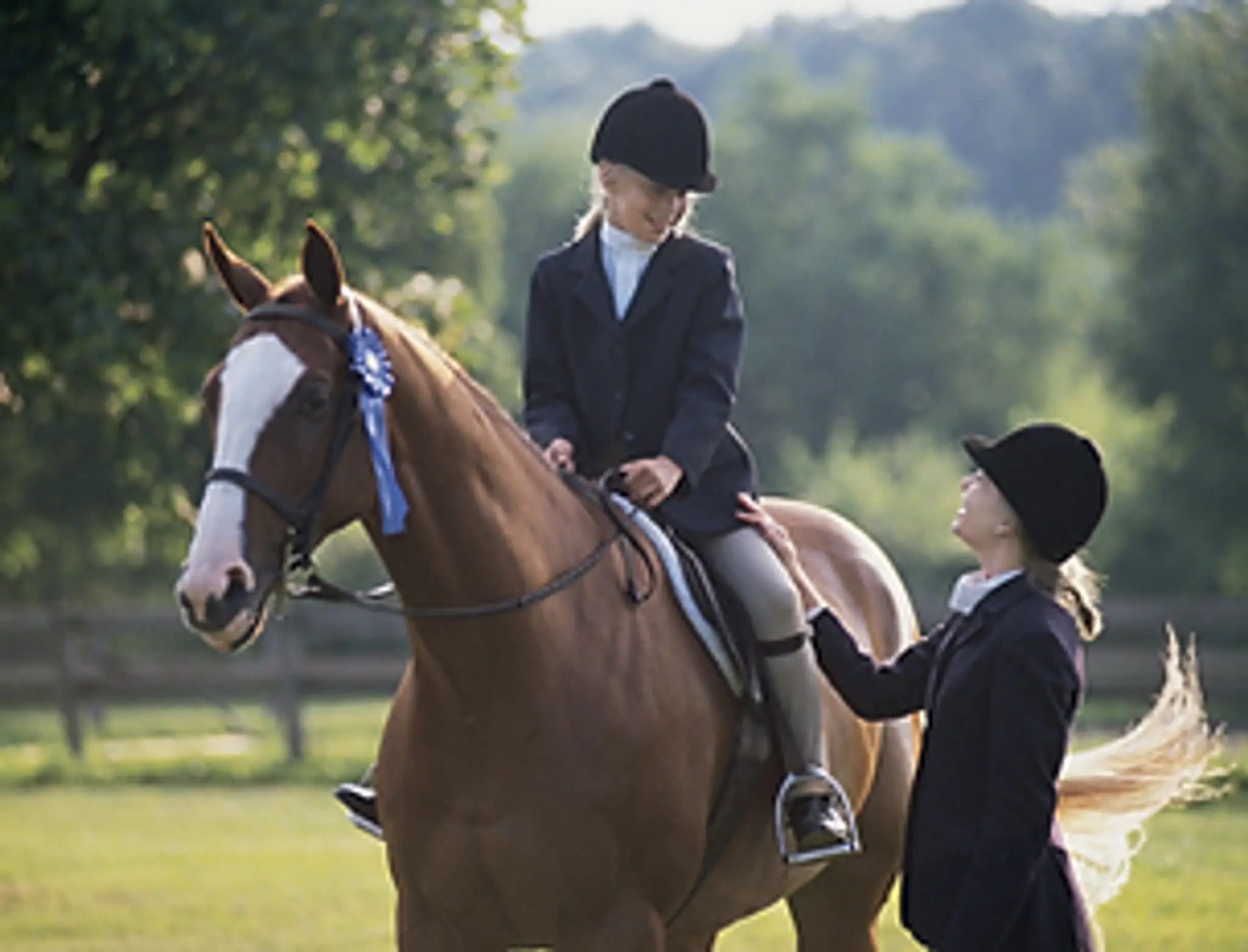 Black Fox Bespoke Browbands