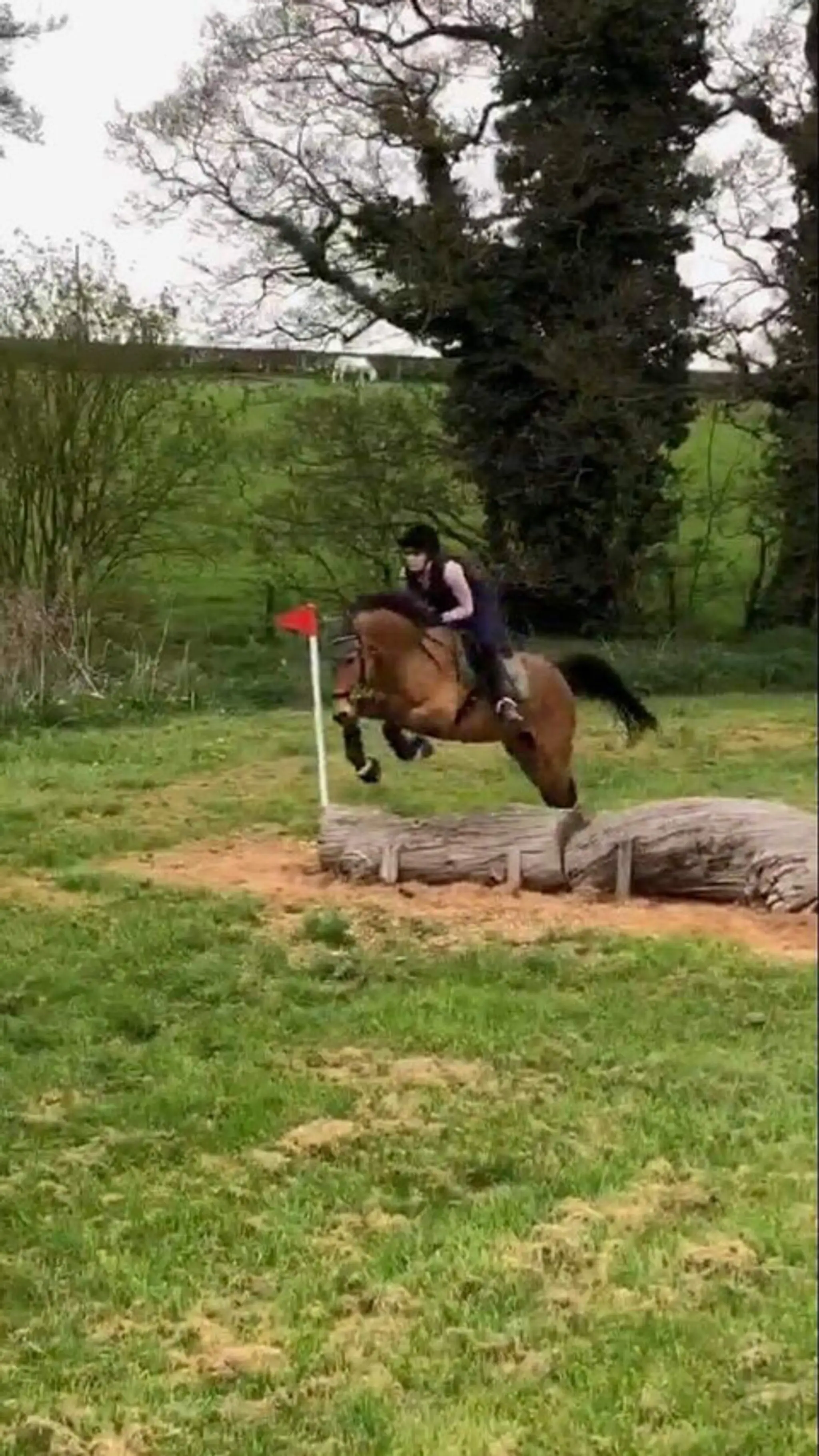 Poplars Farm Cross Country