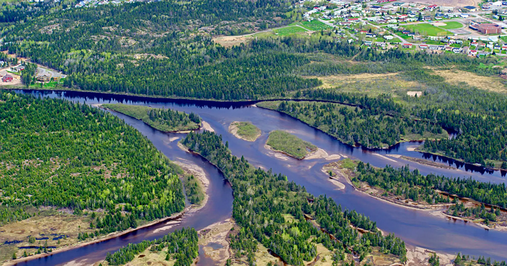 Springdale Swimming Pool
