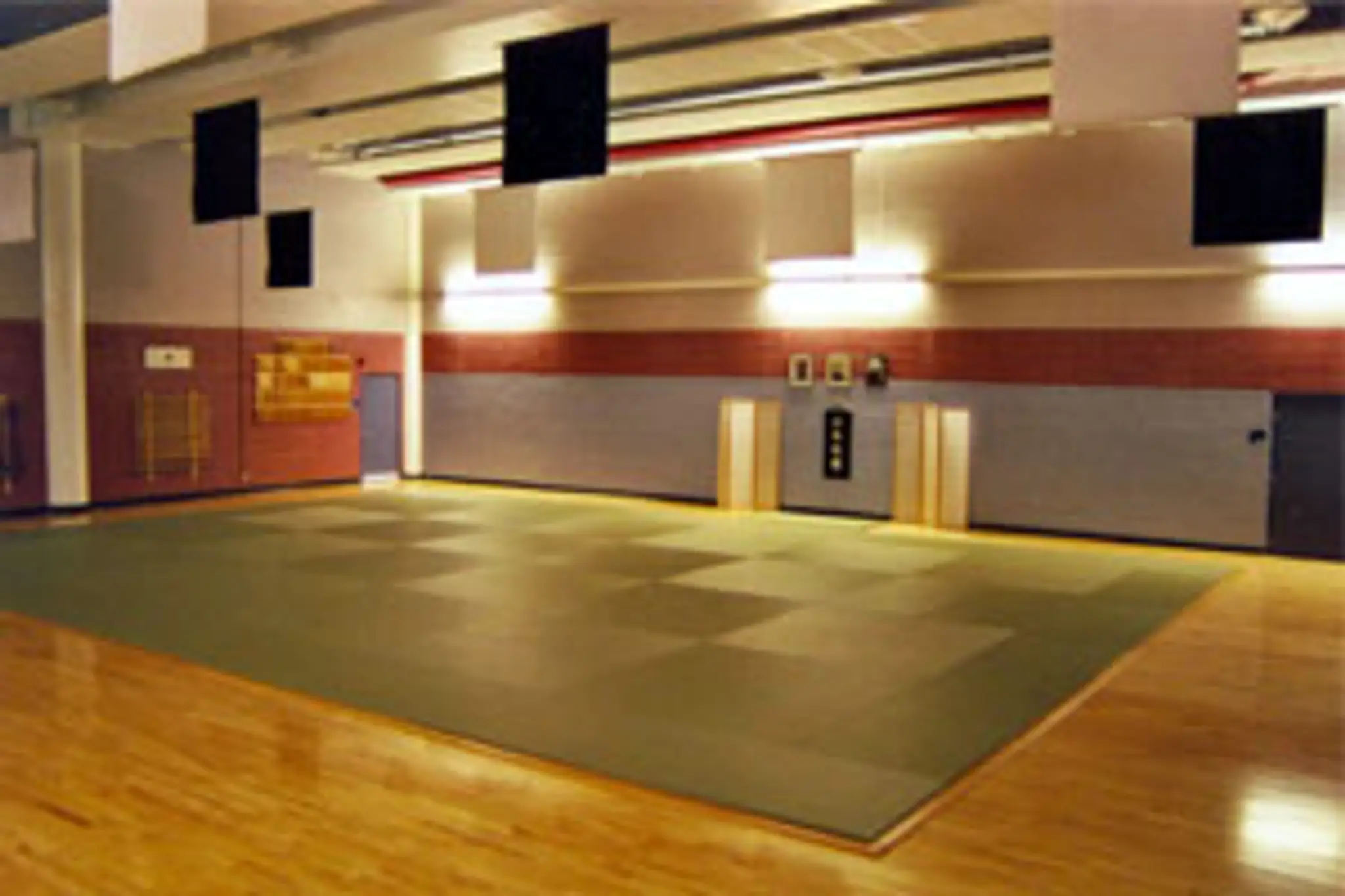 Mcgill Aikido