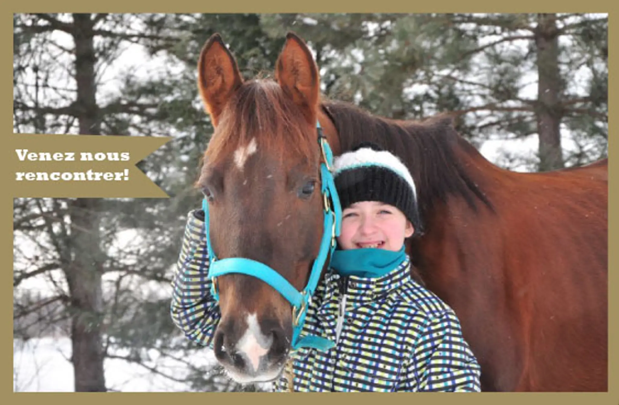 ecole d'equitation dto