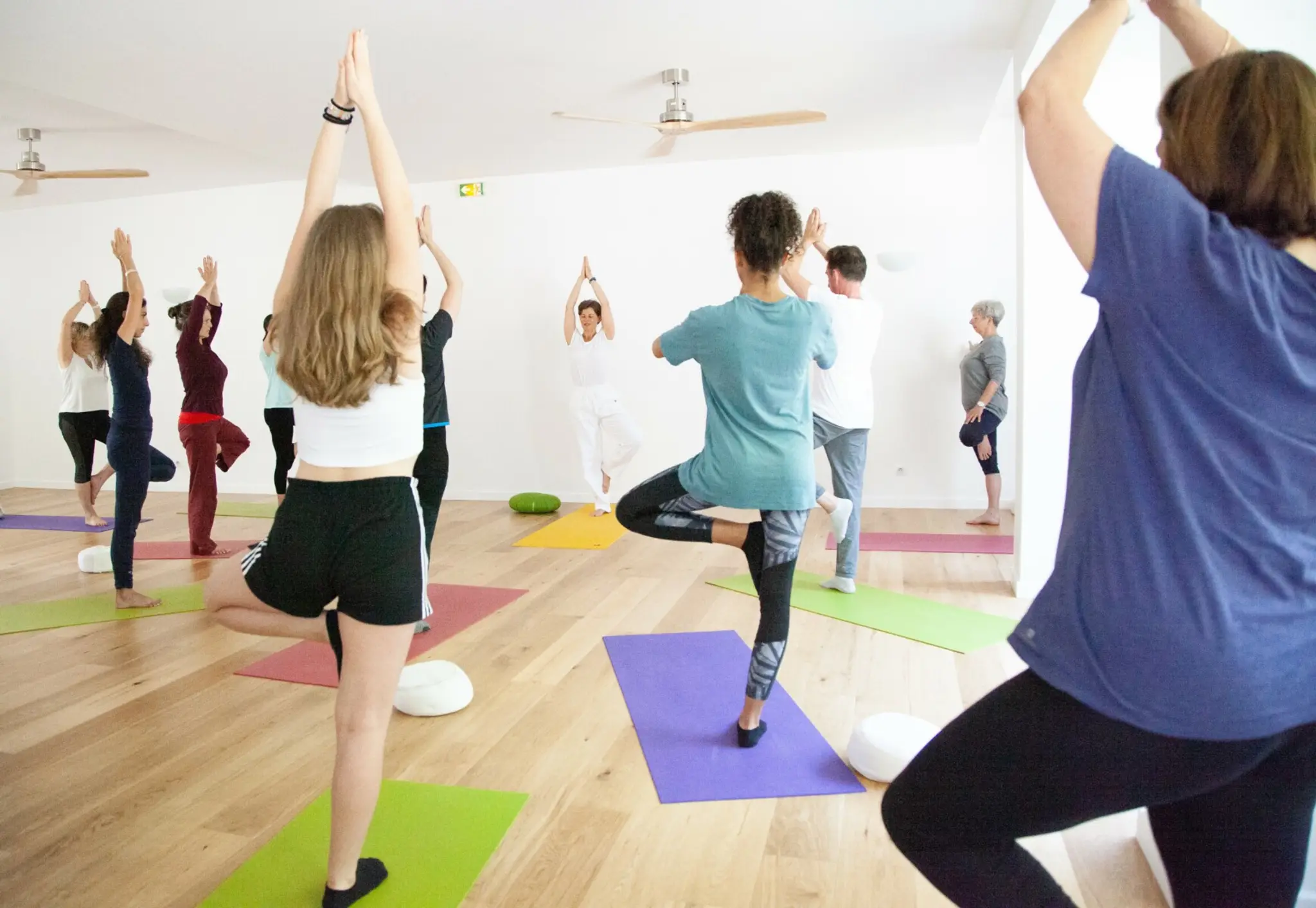 Vimayoga