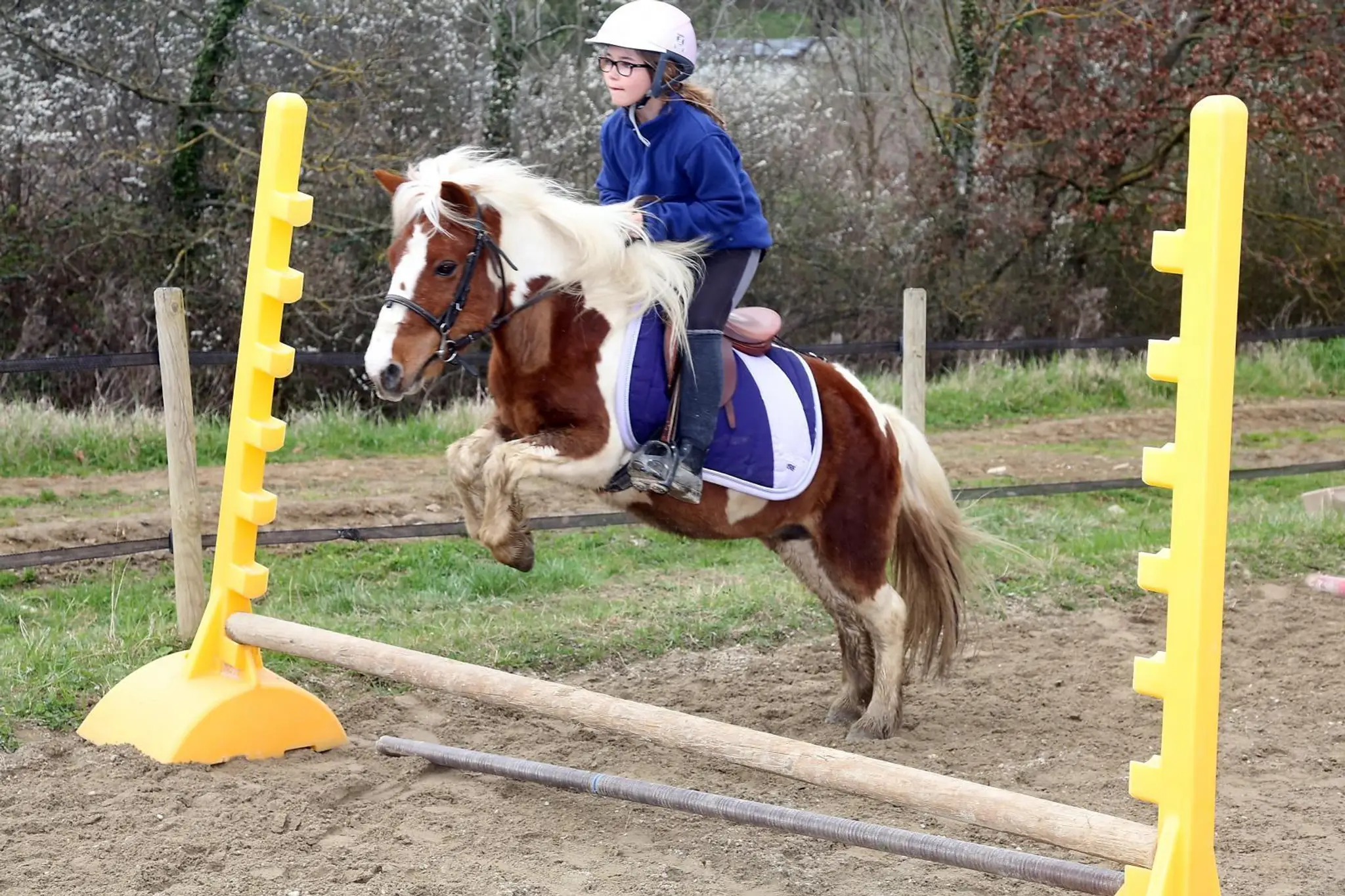 Pony Gônes