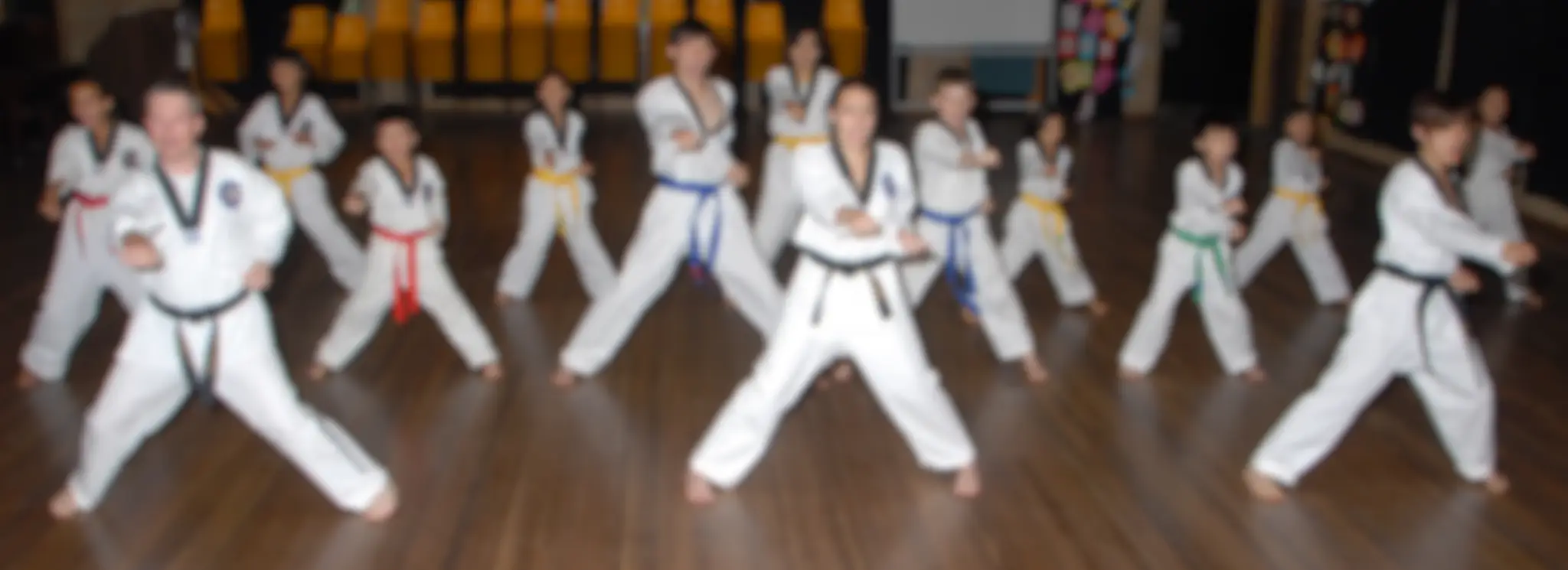 Lion Park's Tae Kwon Do & Self Defence