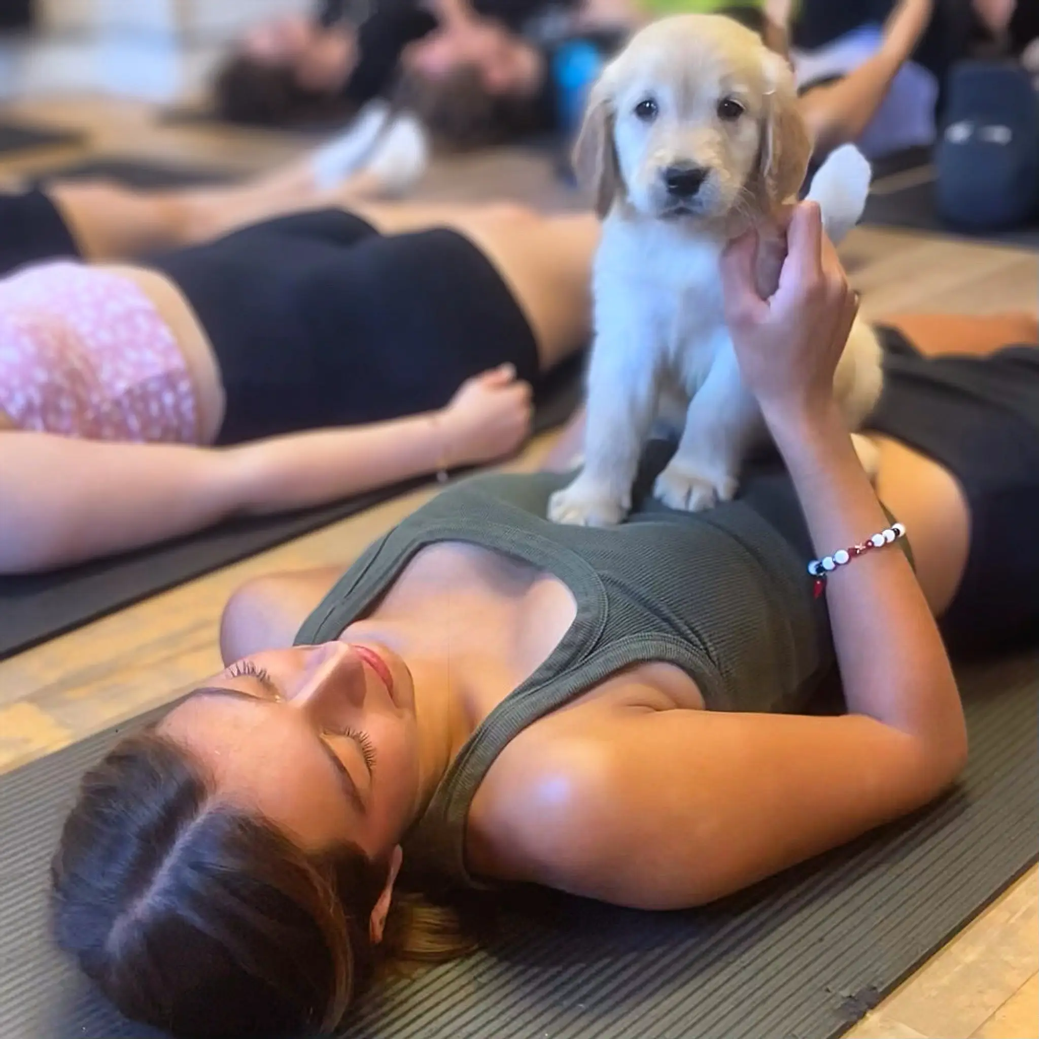 PawPalsYoga