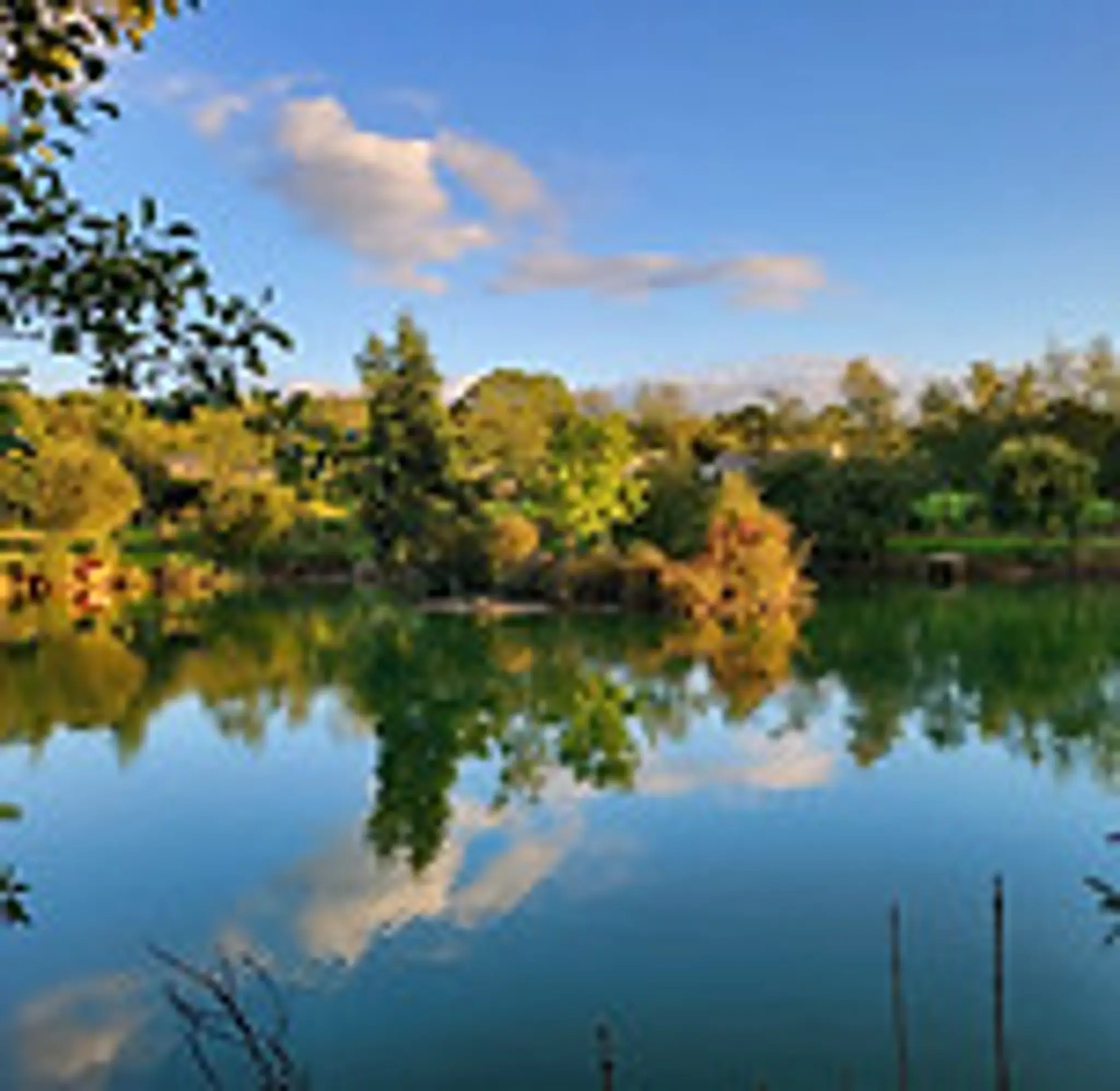 Higher Shorston Lakes