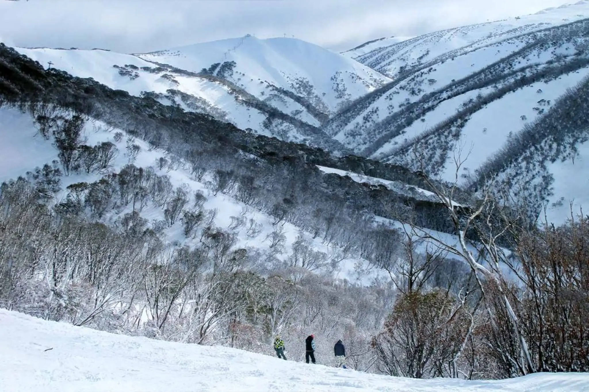 Kongoola Ski Club & Accommodation