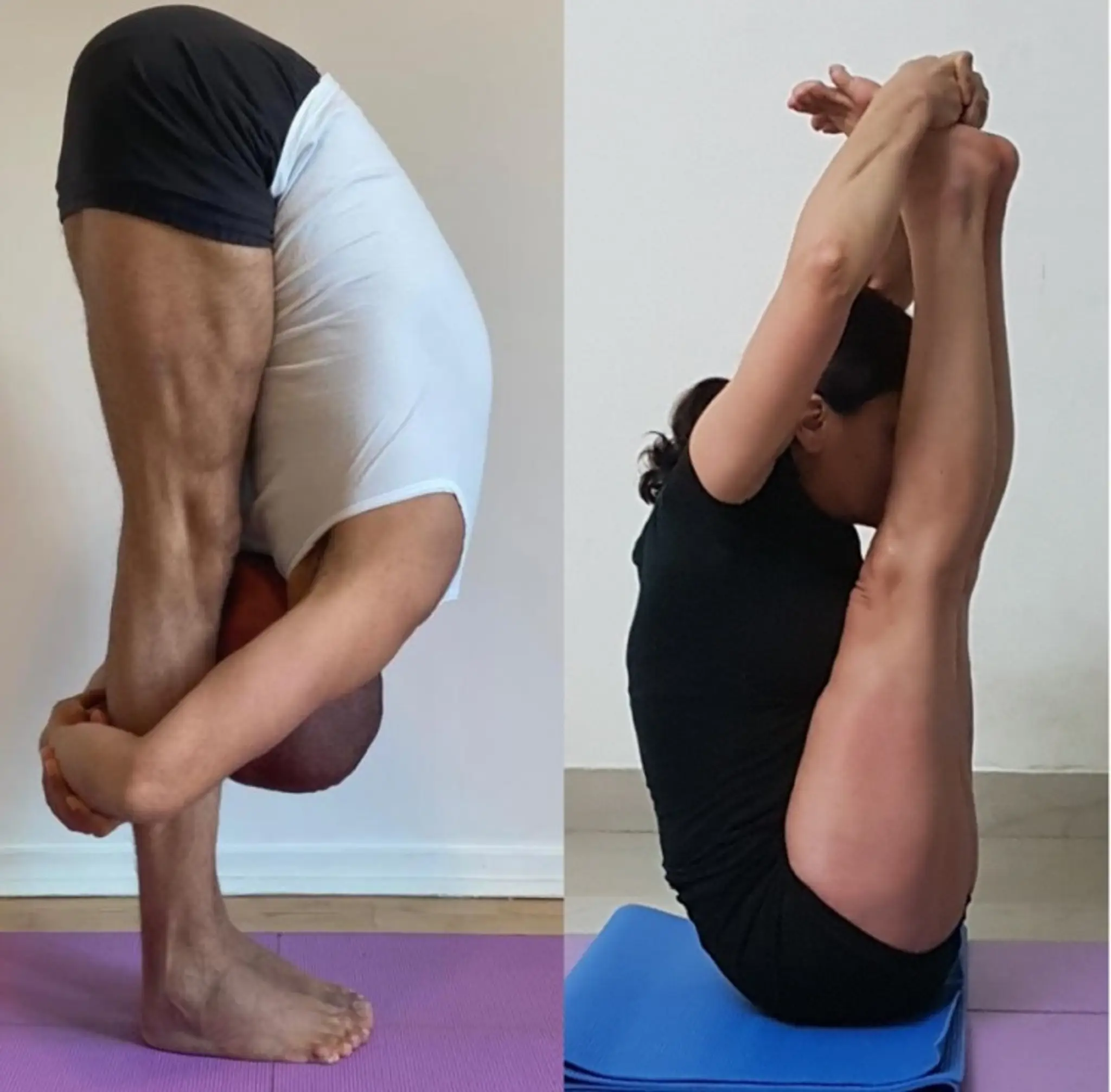 Iyengar yoga centre - London - Yogainforesthill