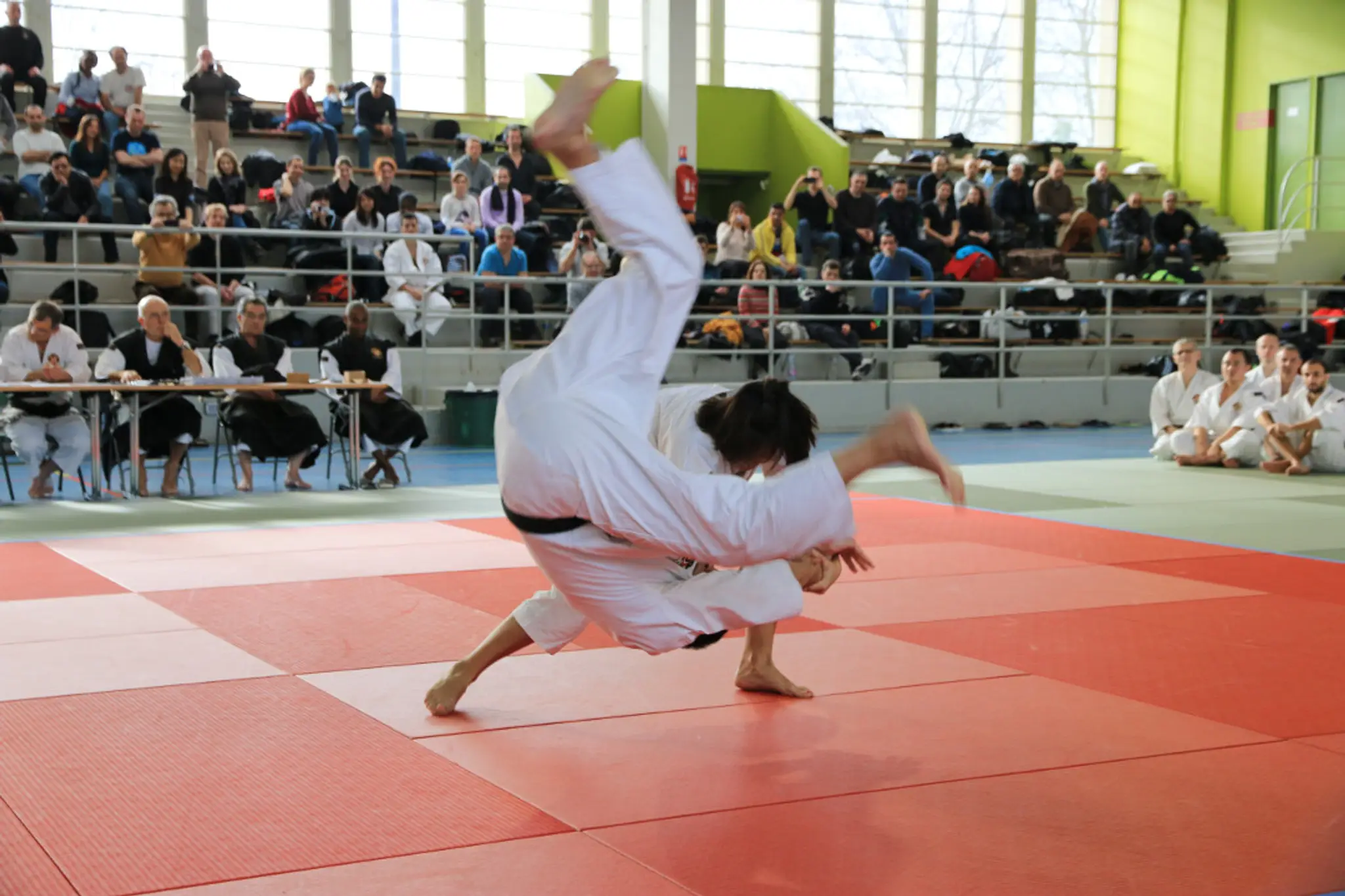 Shorinji Kempo Marseille