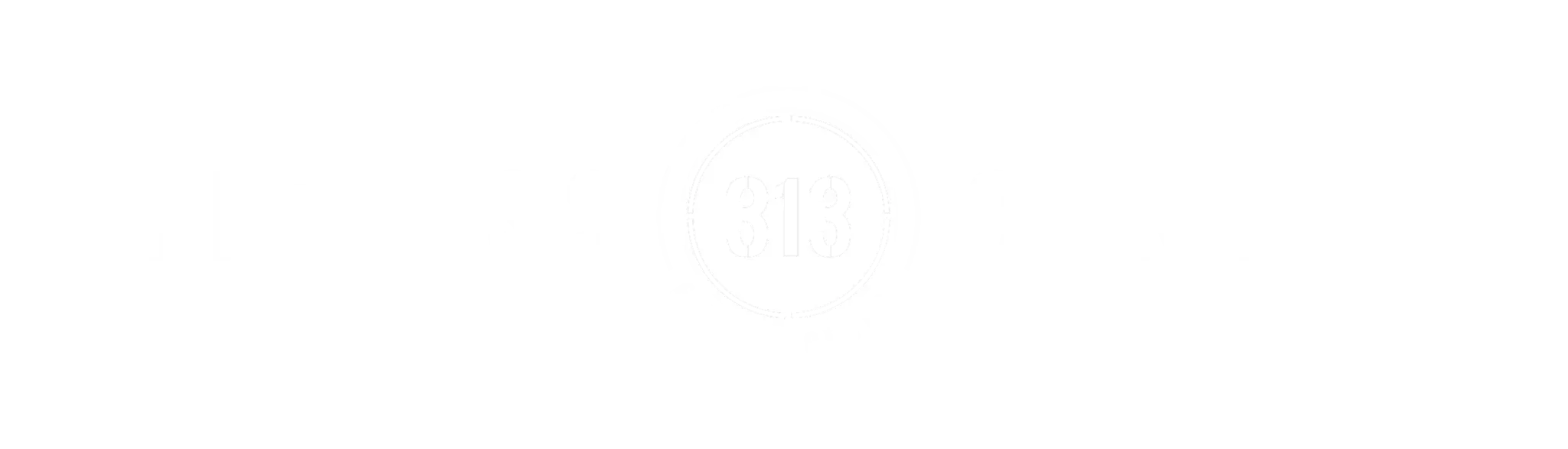 313 Fitness