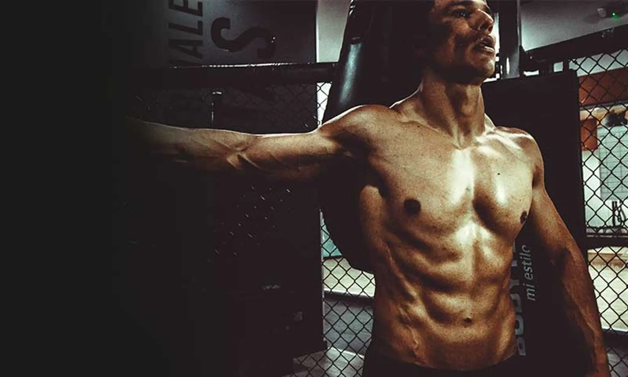 T-Rex Fitness Factory Ghod bunder Road-Thane - Your Gym, Your Fitness
