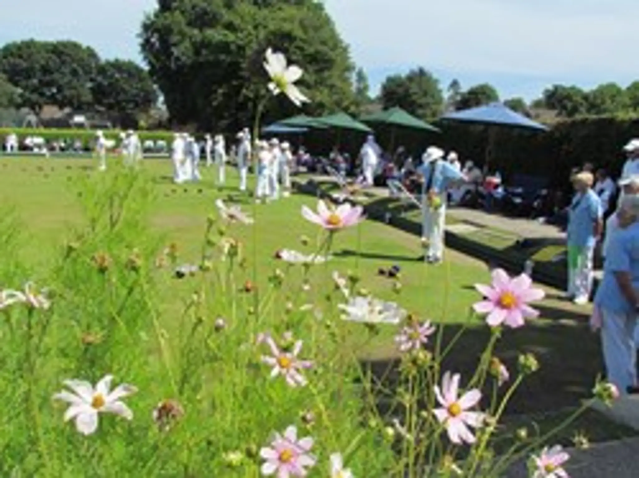 Adastra Bowling Club