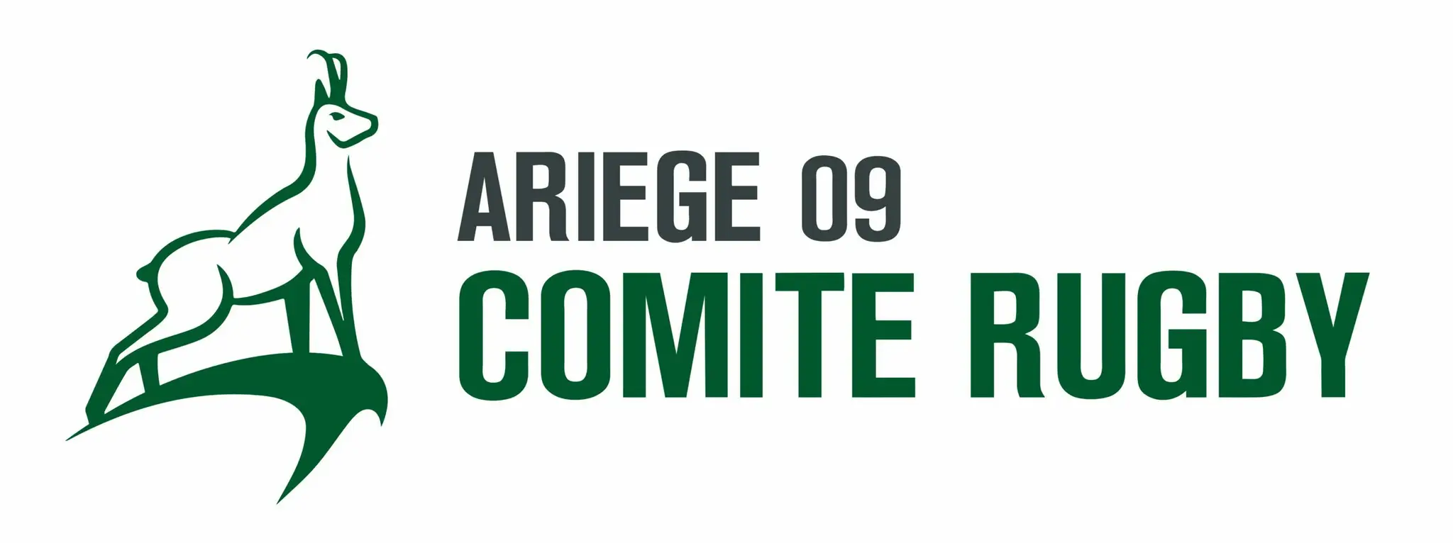 Comité Départemental de Rugby de l'ARIEGE