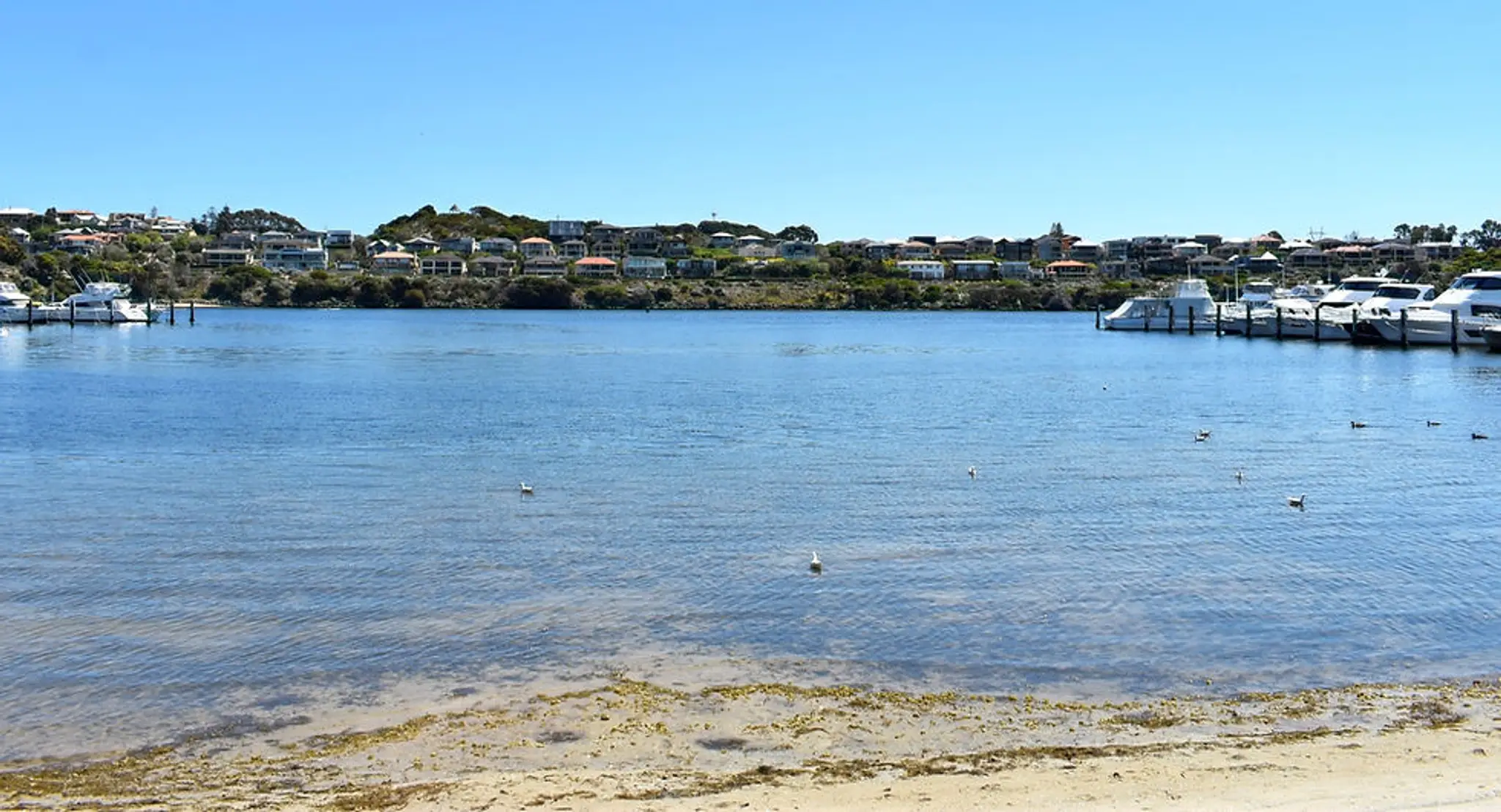 Fortitude Rehabilitation and Conditioning: Lori Alexander, Exercise Physiologist