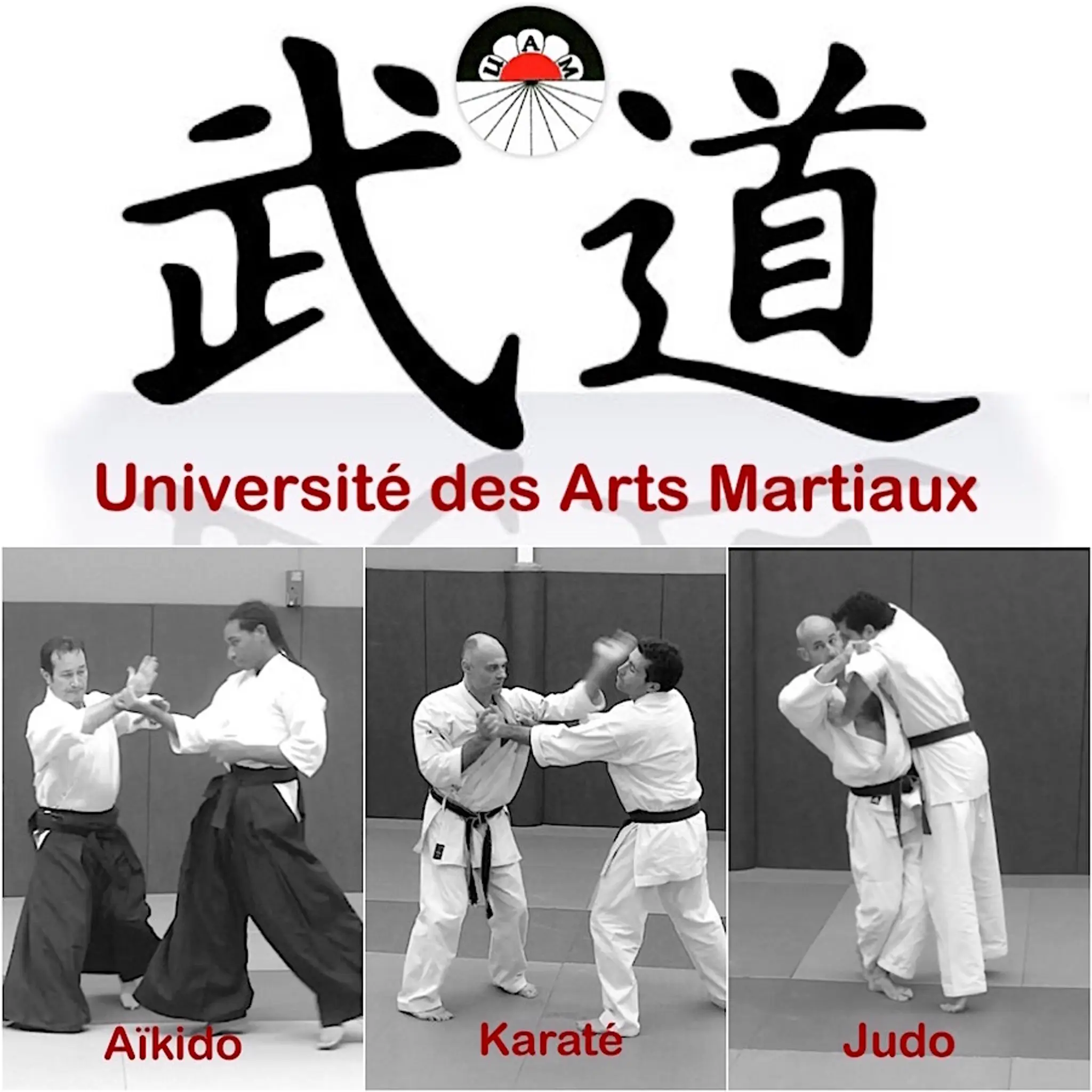 Institute Aikido Akj