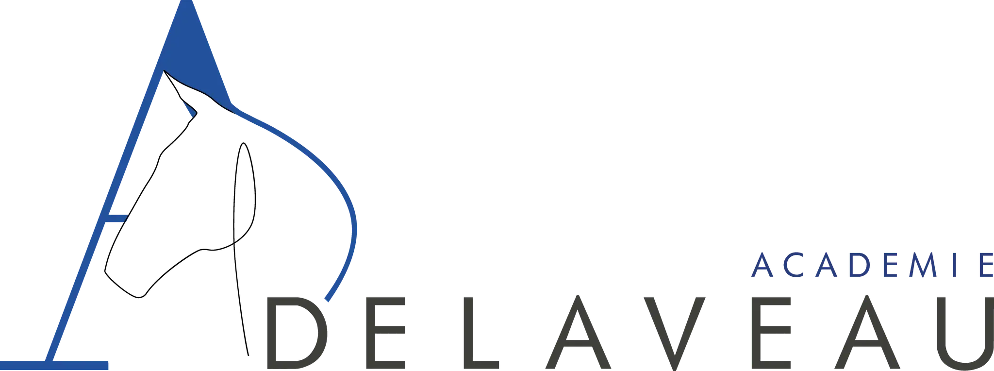 Academie Delaveau