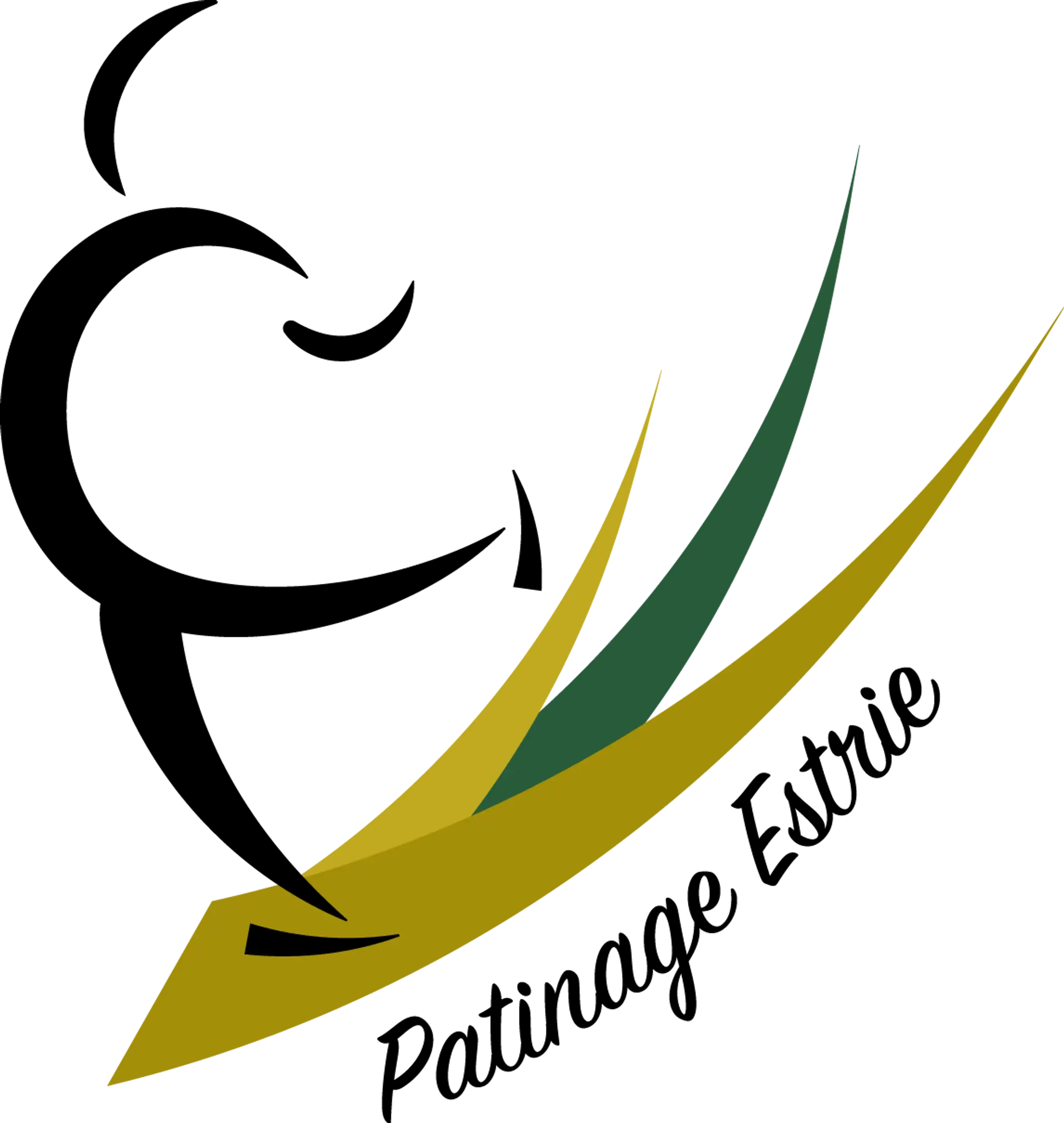 Club de patinage artistique Les patins d'argent de Windsor