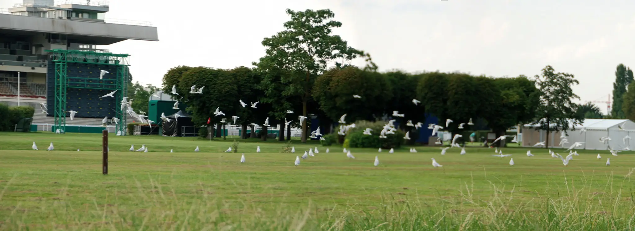 Entrée Golf de Maisons Laffitte