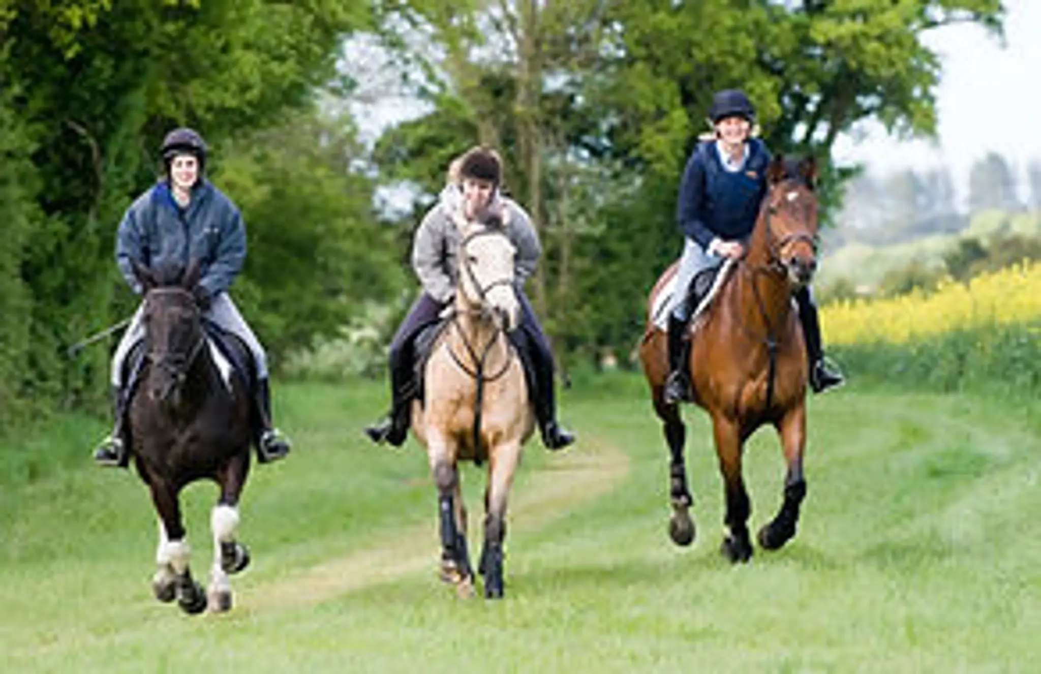 Dene Farm Cross Country