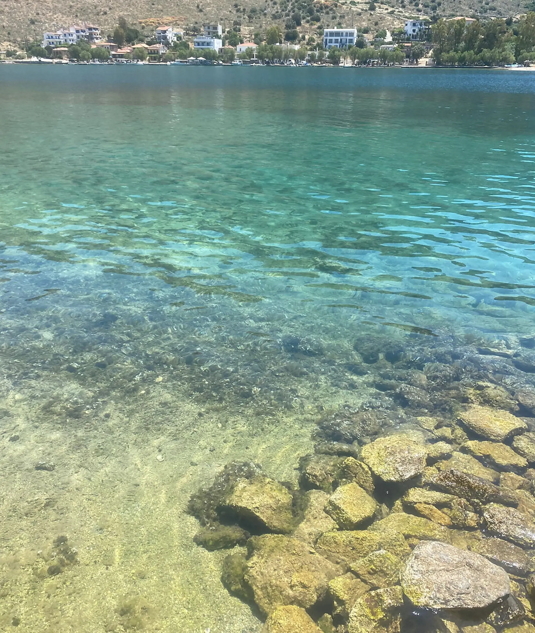 Yomsteo Yolande Dumas Milne Edwards Ostéopathe