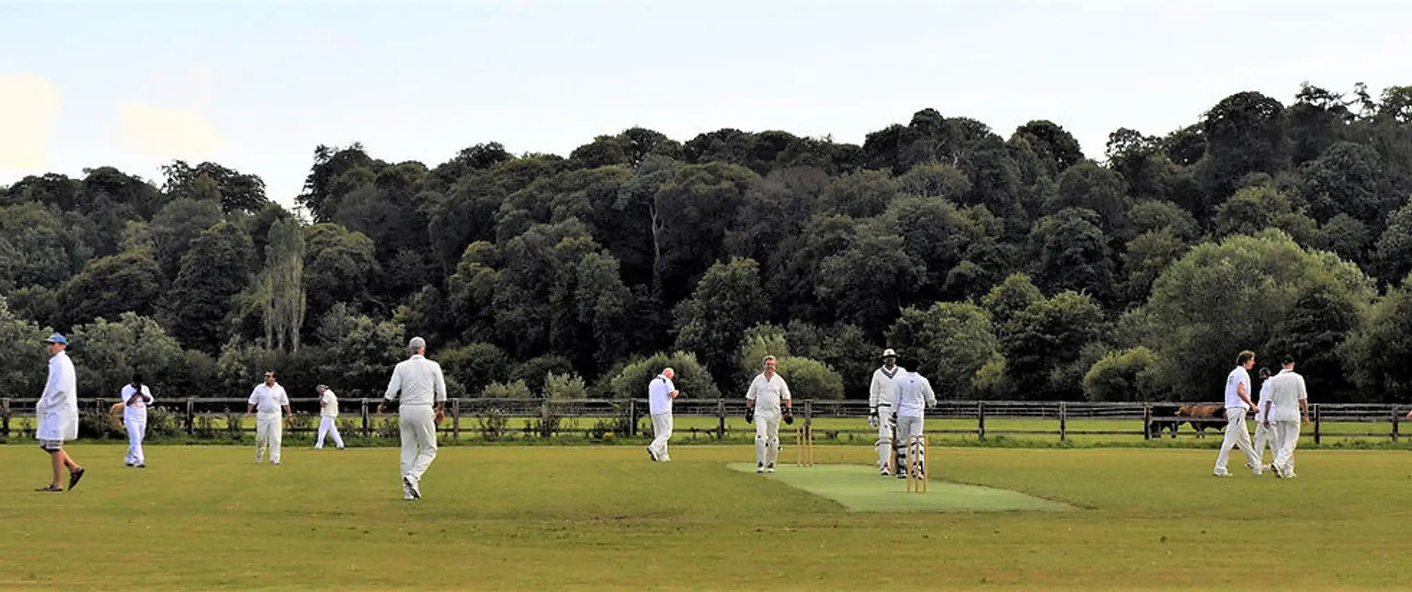 Mount Juliet Cricket Club
